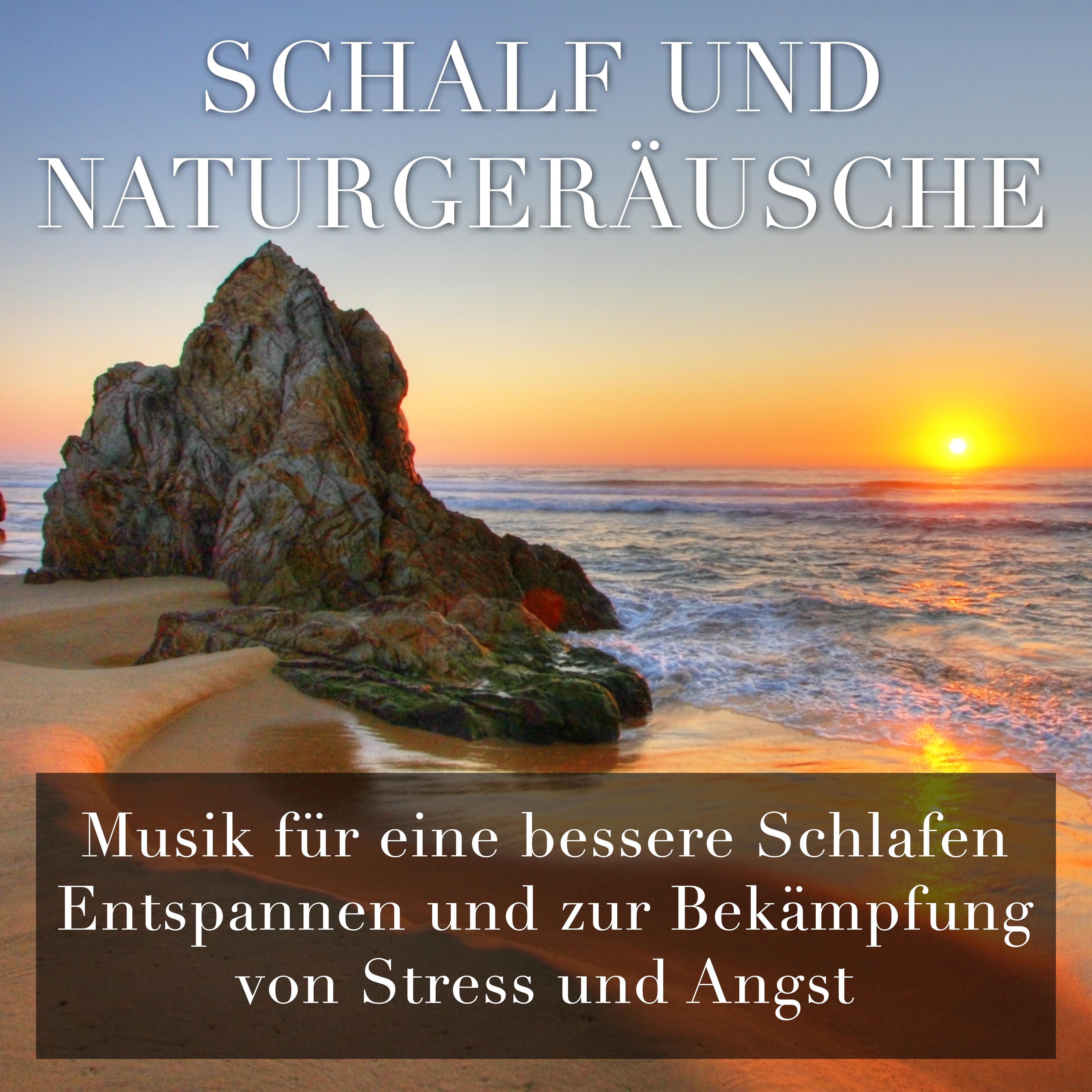 Schalf und Naturgeräusche - Musik für eine bessere Schlafen, Entspannen und zur Bekämpfung von Stress und Angst