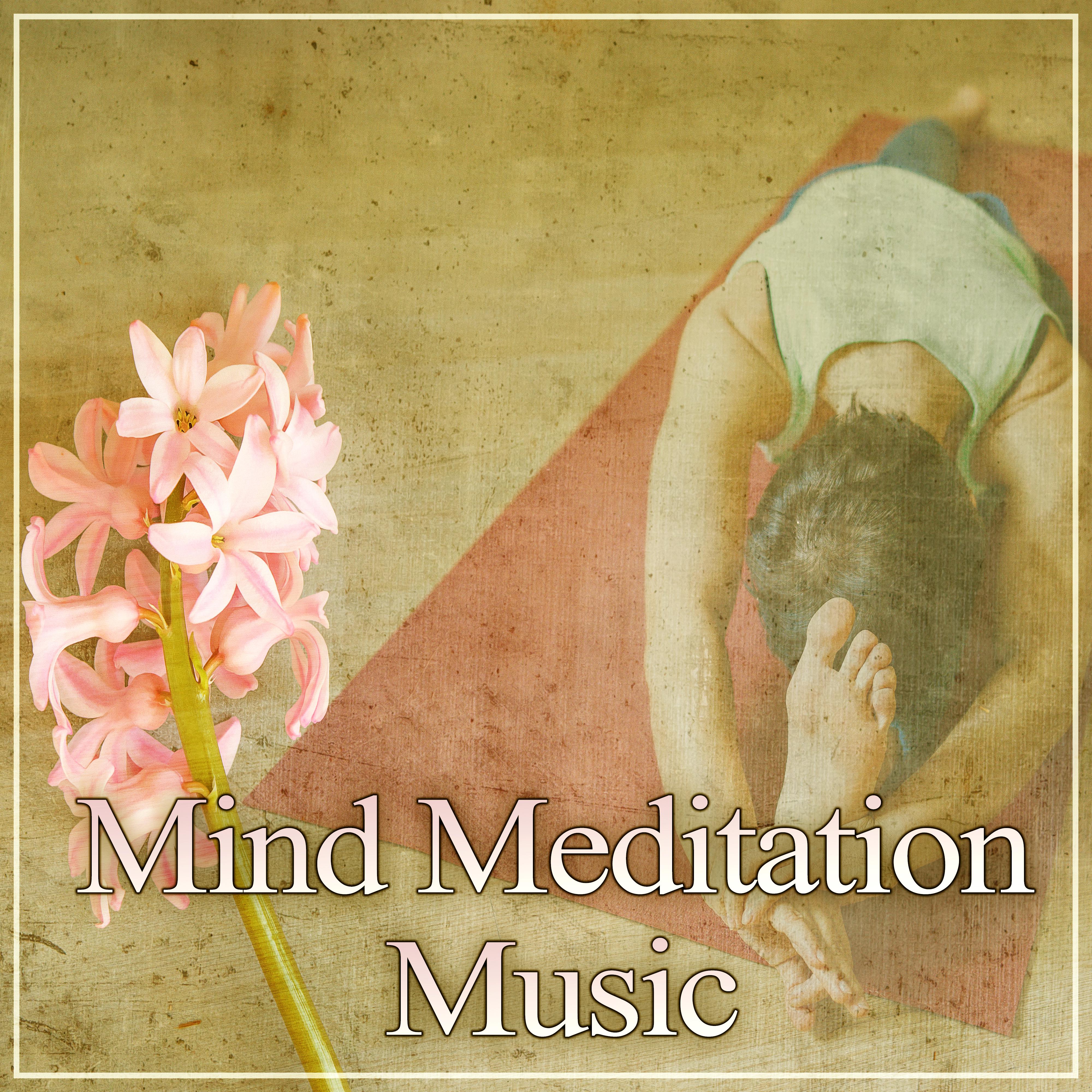Mind Meditation Music – New Age Music for Relaxation, Feel Pure Mind with Healing Music, Calmness, Mindfulness Meditation