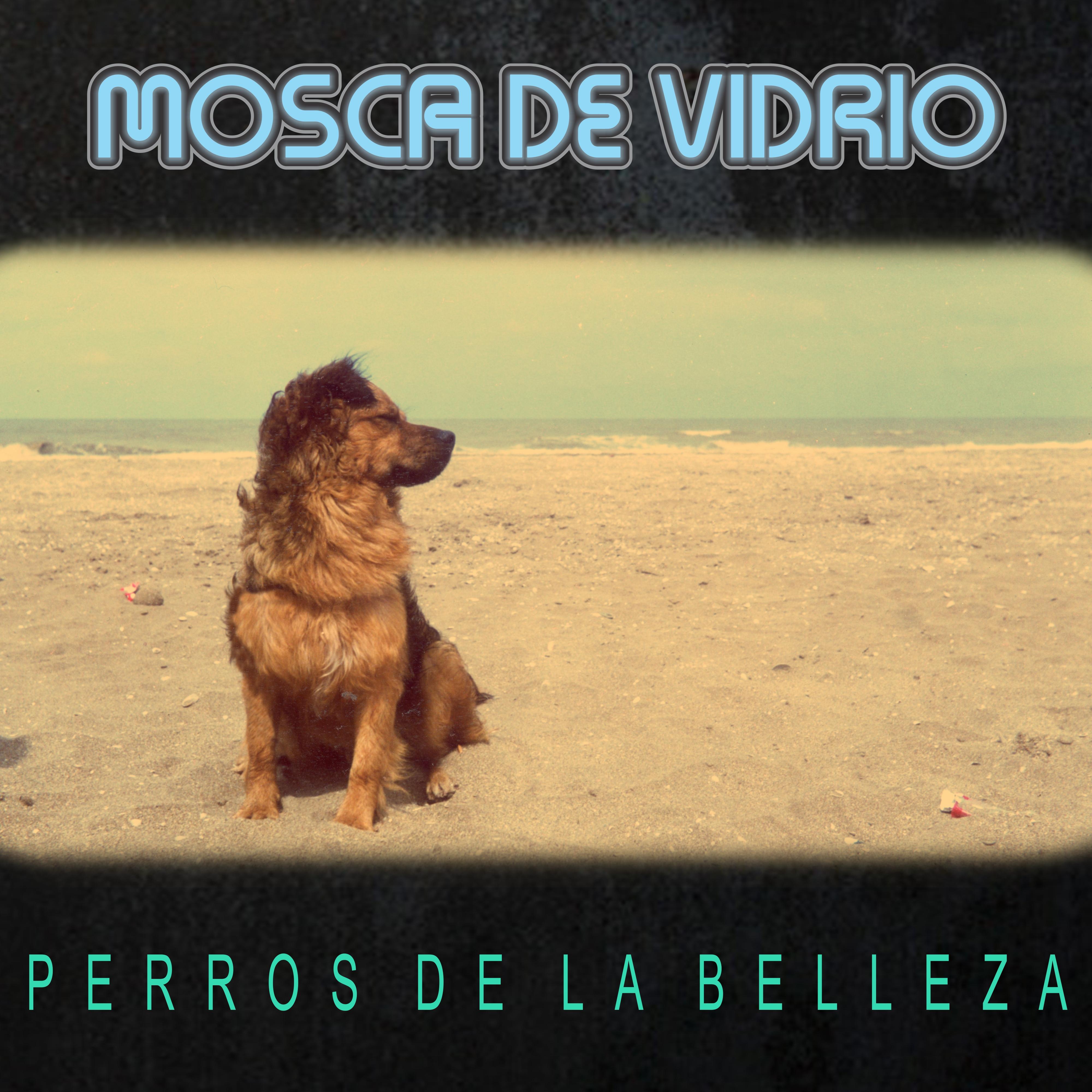 Perros de la Belleza