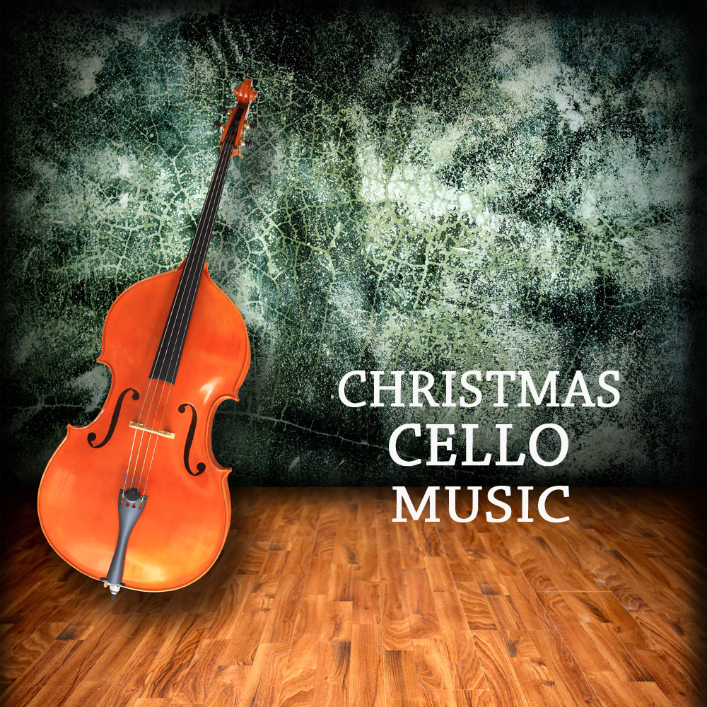 Vivaldi Largo from the Four Seasons Winter with Electric Cello
