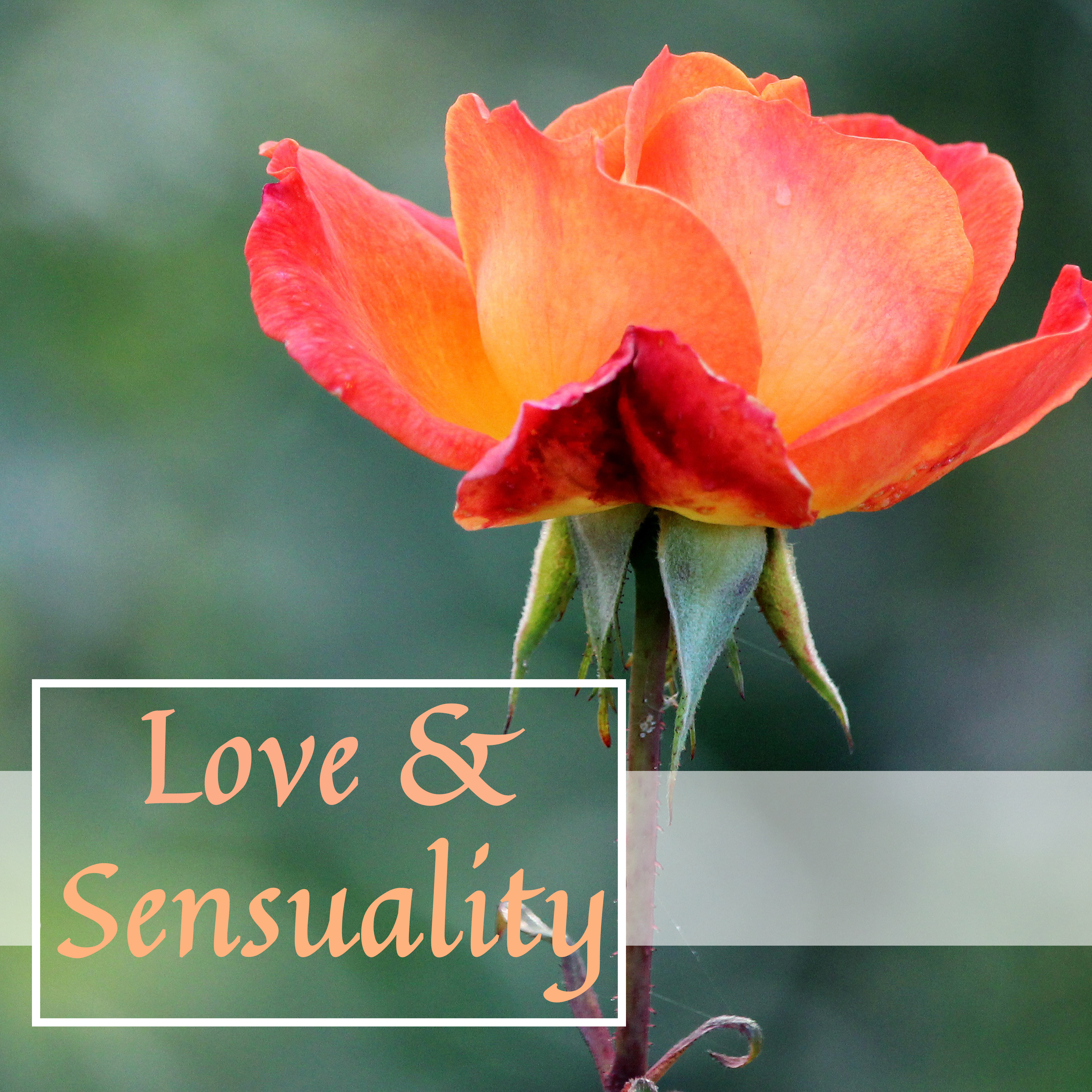 Love & Sensuality – Jazz for Lovers, Sensual Jazz Music, Heart Sounds, Smooth Jazz for Romantic Evening, True Love