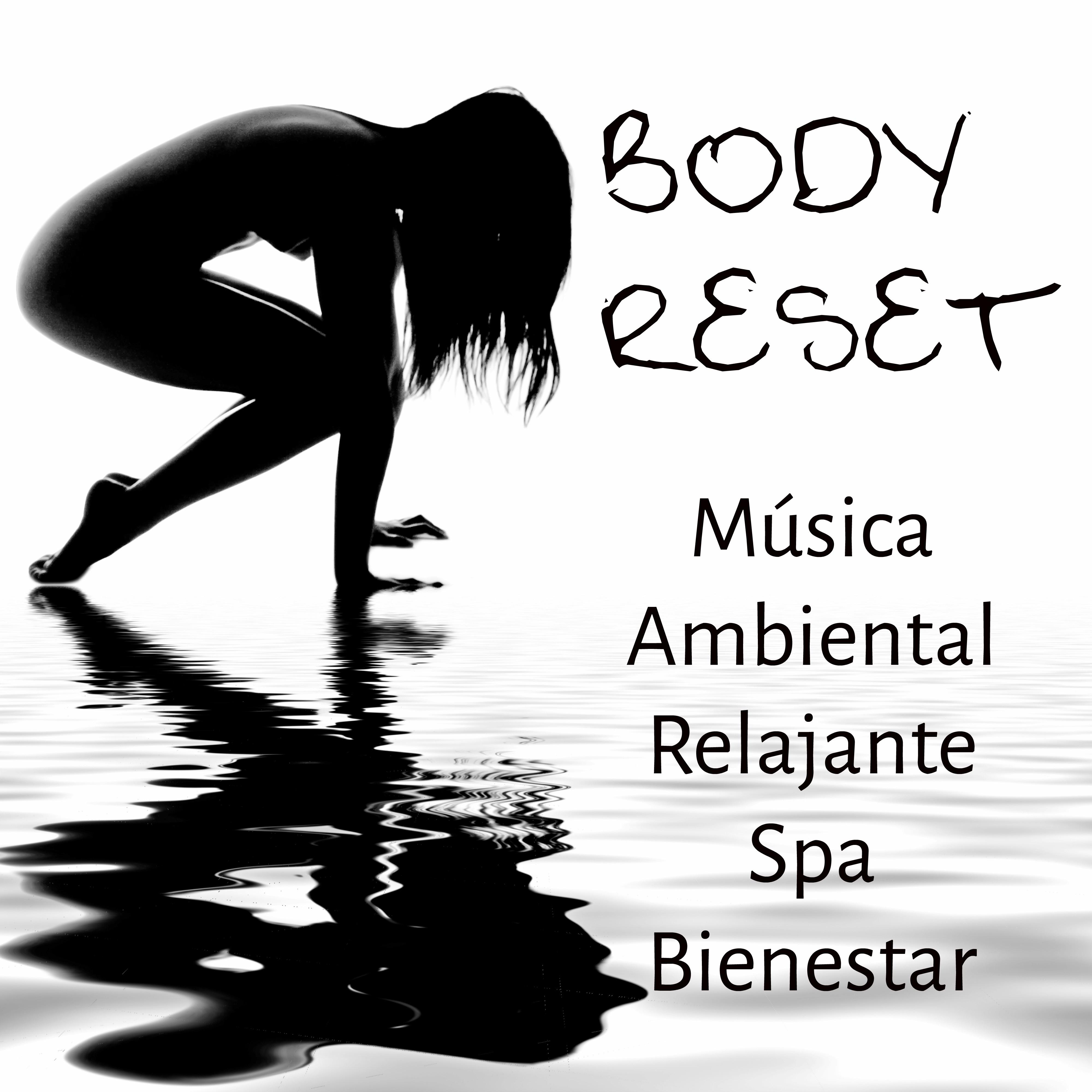 Body Reset - Música Ambiental Relajante Spa Bienestar para Ejercicios para la Mente Alineación de Chakras y Mejorar la Concentración
