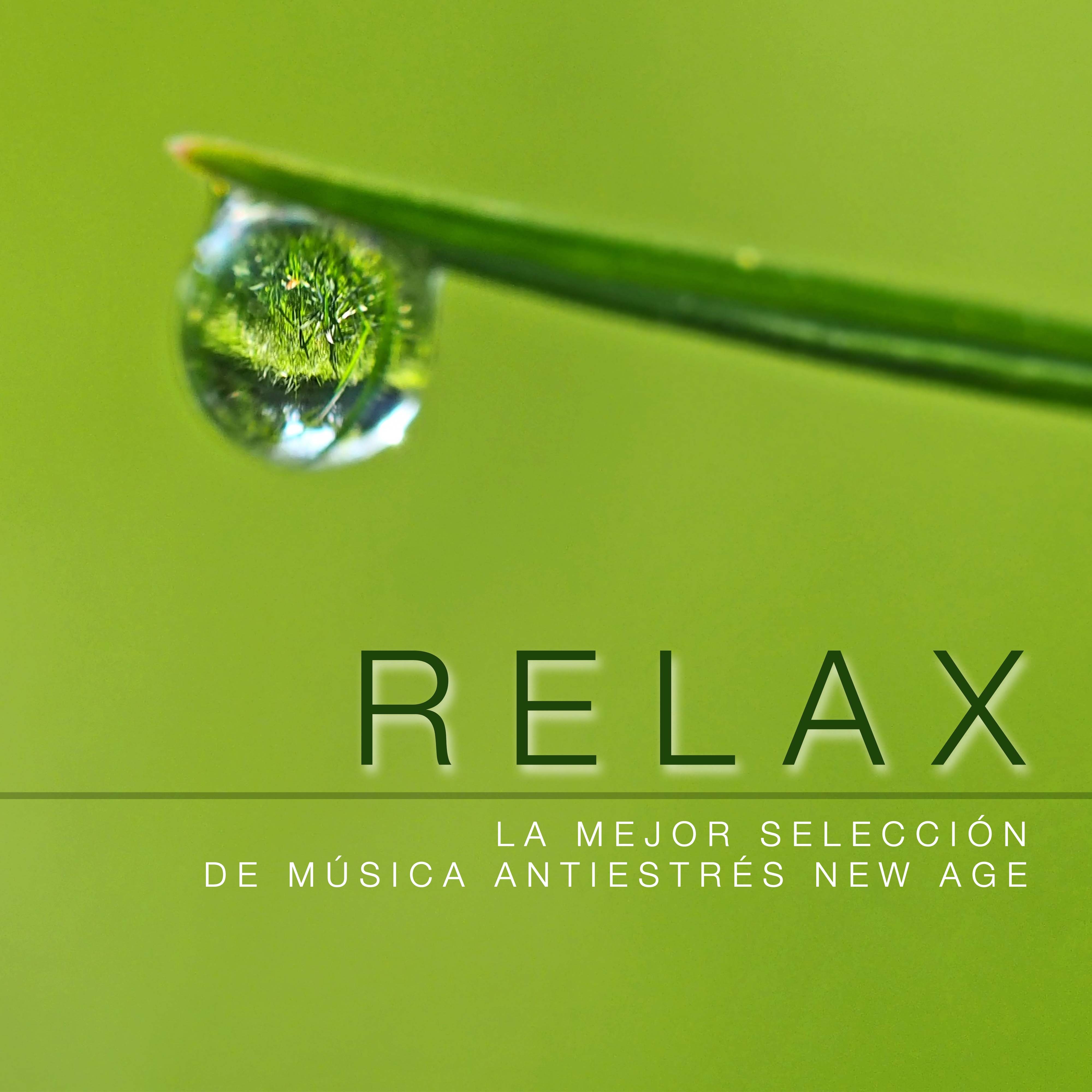 RELAX - La Mejor Selección de Música Antiestrés New Age para Combatir el Estrés y Liberar tu Mente con la Lluvia y otros Sonidos de la Naturaleza