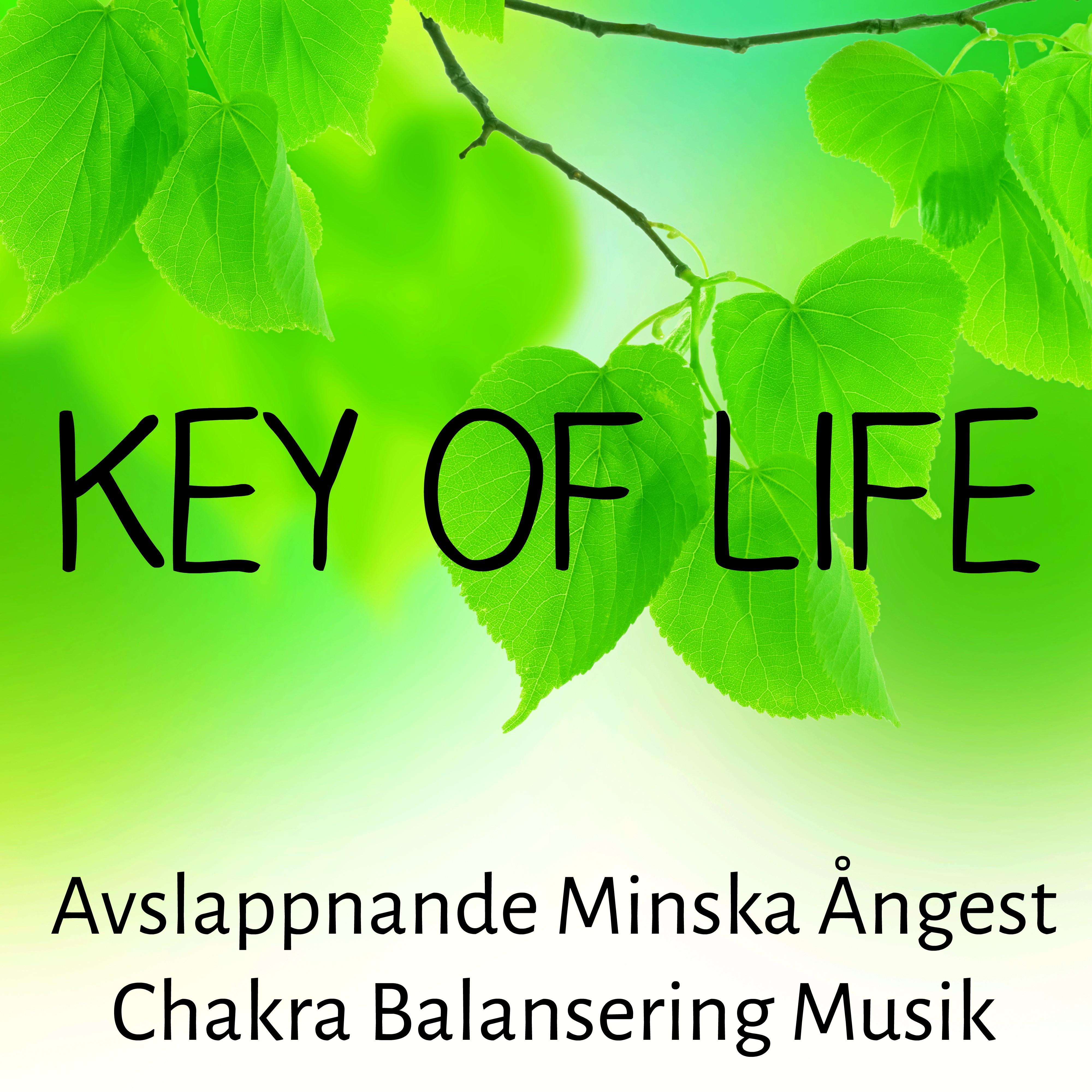 Key of Life - Avslappnande Minska Ångest Chakra Balansering Musik för Vägledd Meditation Chakra Alignment och Sömnlöshet Behandling