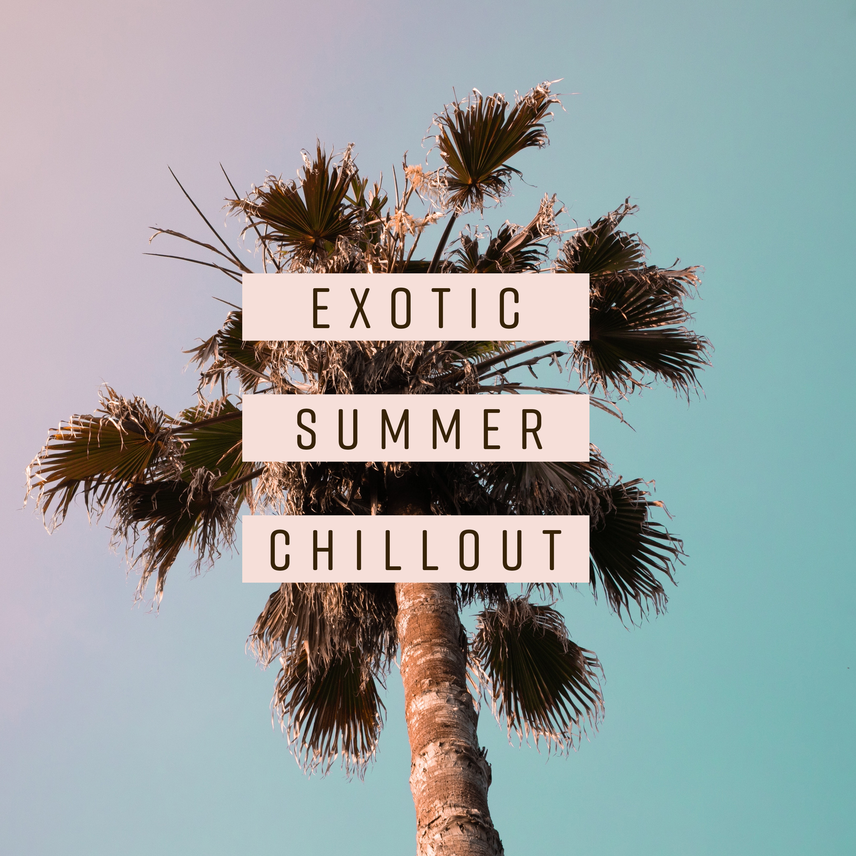 Exotic Summer Chillout
