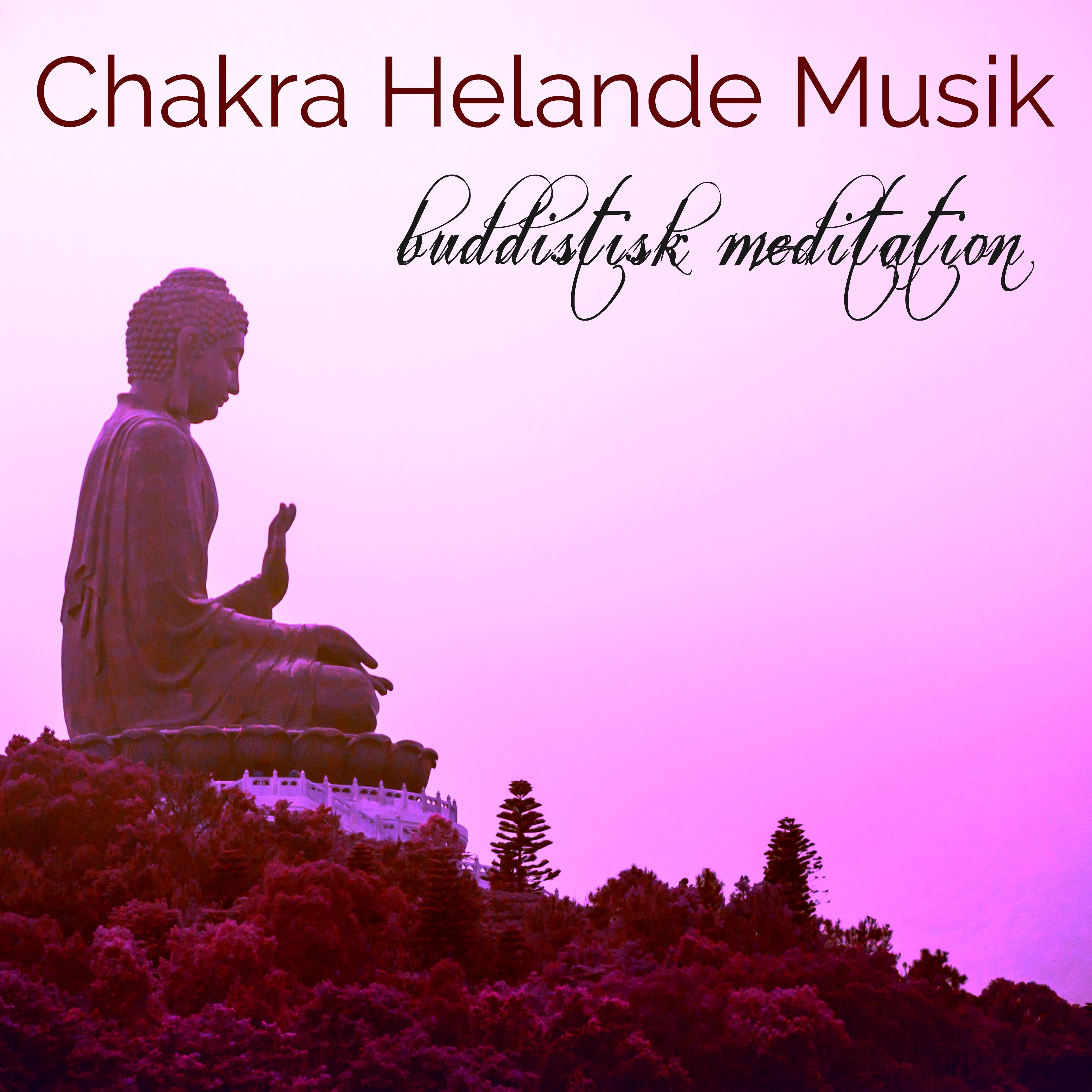 Chakra Helande Musik Buddistisk Meditation - Avslappnande Musik för Chakra Meditation, Mindfulnessträning och Kärleksfull Vänlighet Meditation, Kundalini Yoga och Chakra Balancing