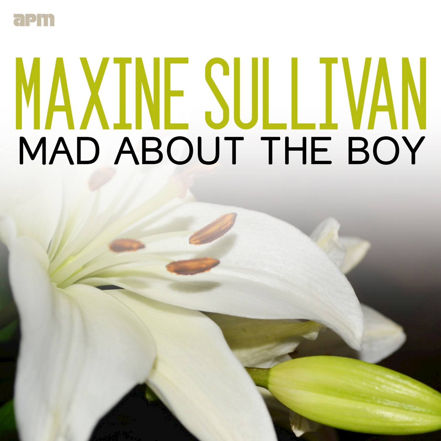 Mad About the Boy