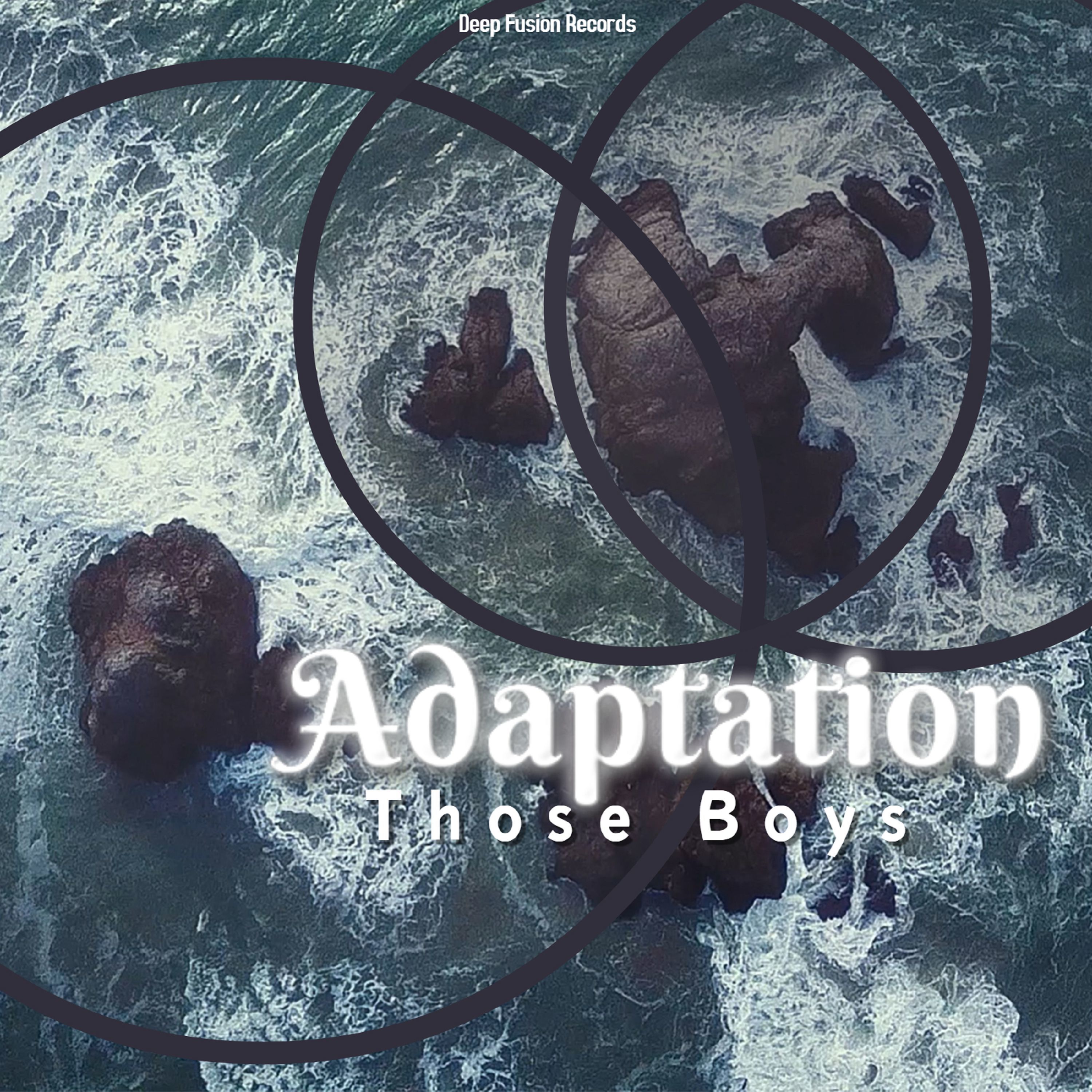 Adaptation