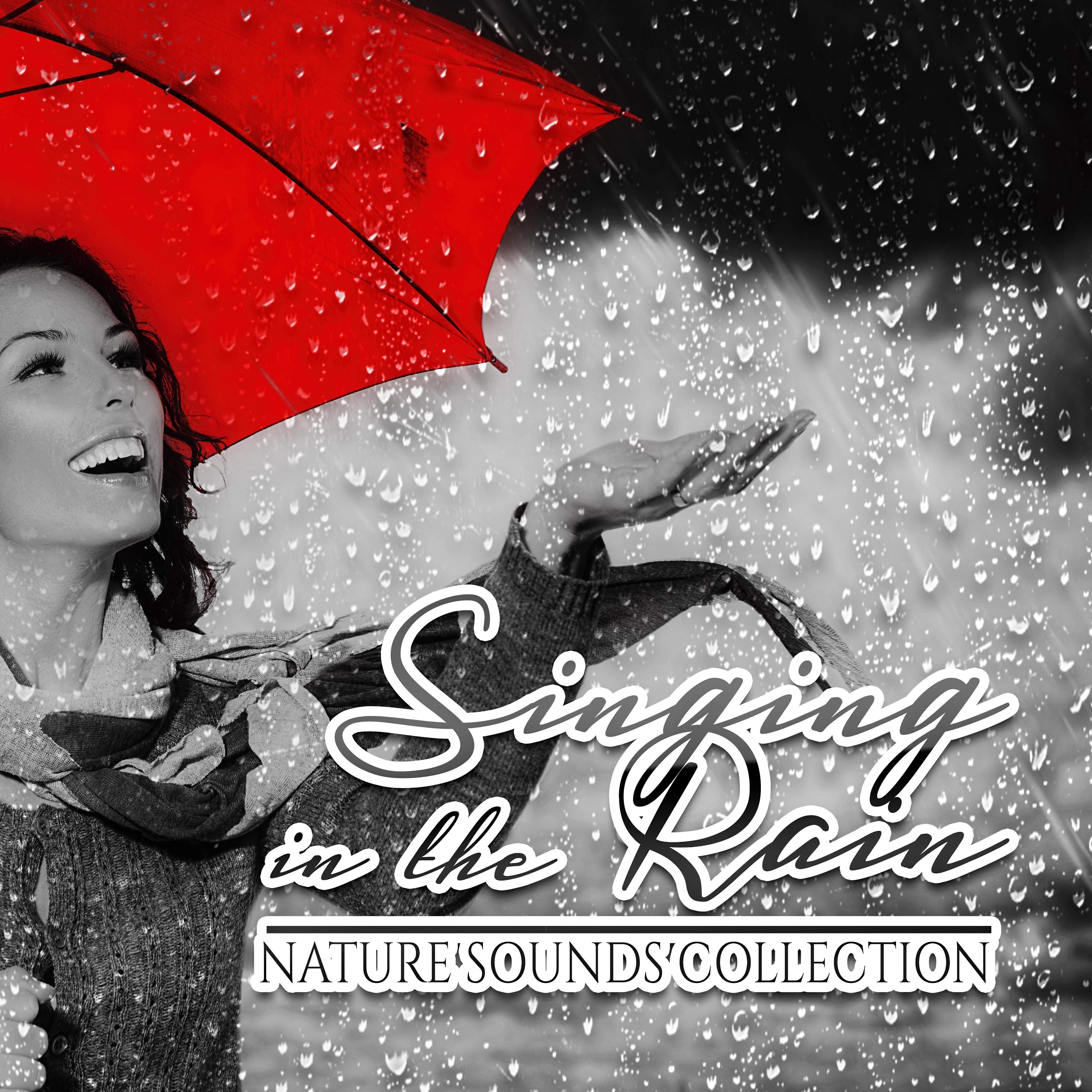 Soothing Rain Sounds