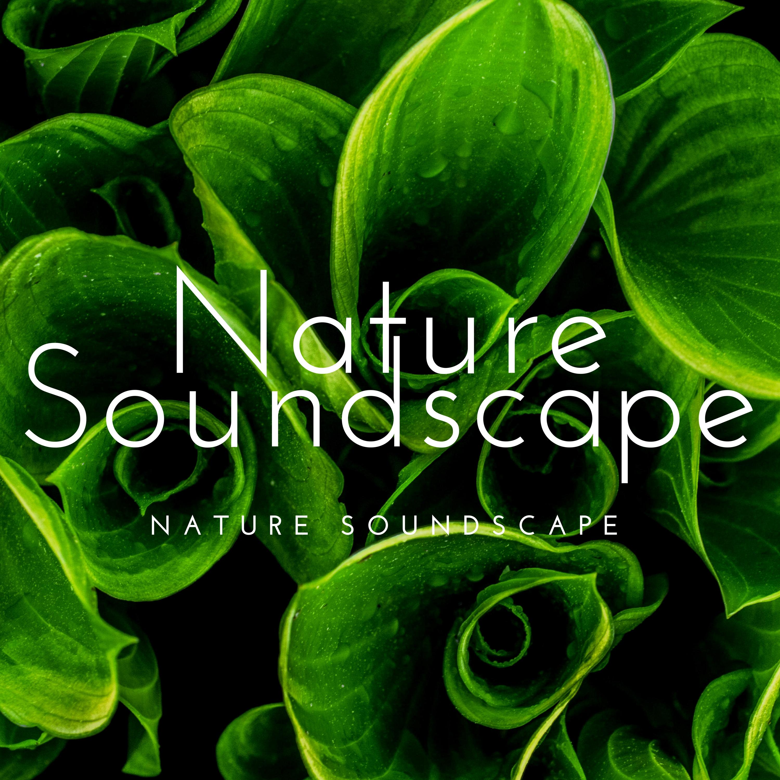 Nature Soundscape: Connect with Nature, Soothing Sounds of Calming Waves for Relaxation, Mediation, Yoga Classes and Deep Breathing Techniques