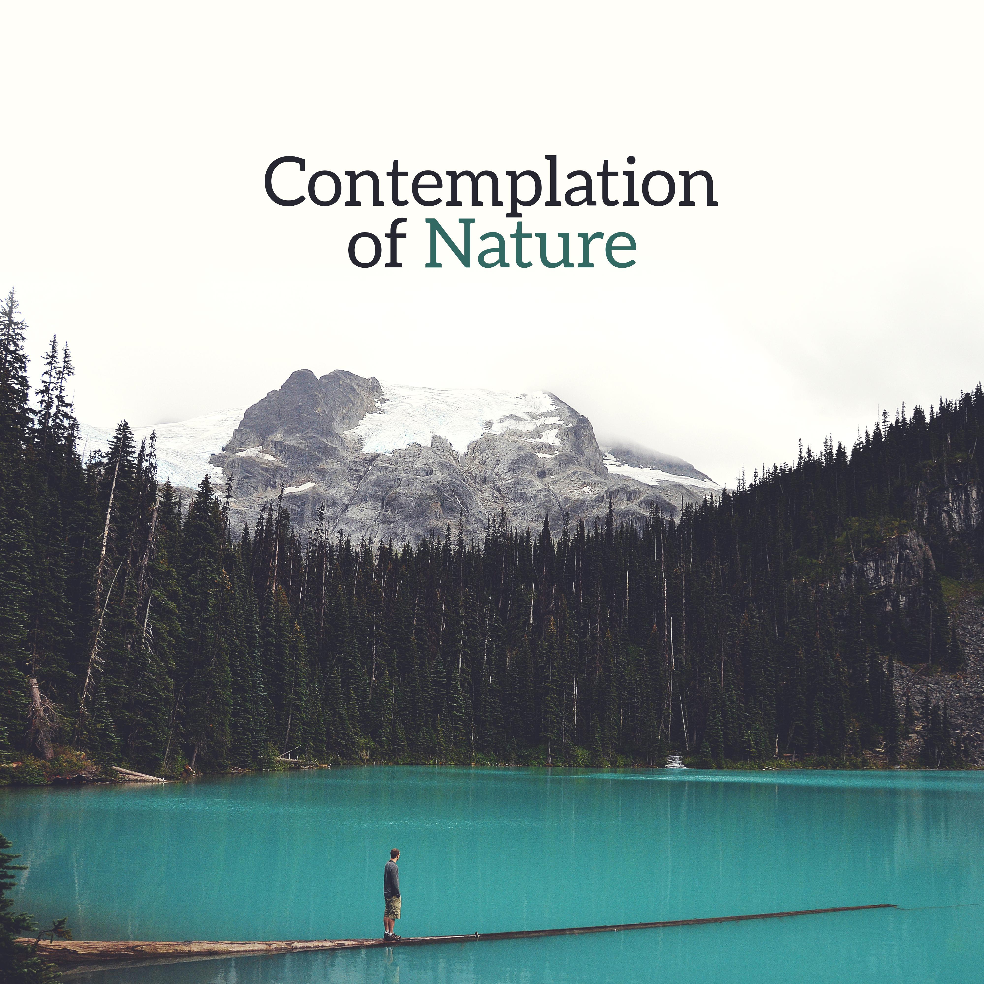 Contemplation of Nature – Healing Music to Rest, Soothing Nature Sounds, Deep Sleep, Relaxing Waves, Singing Birds