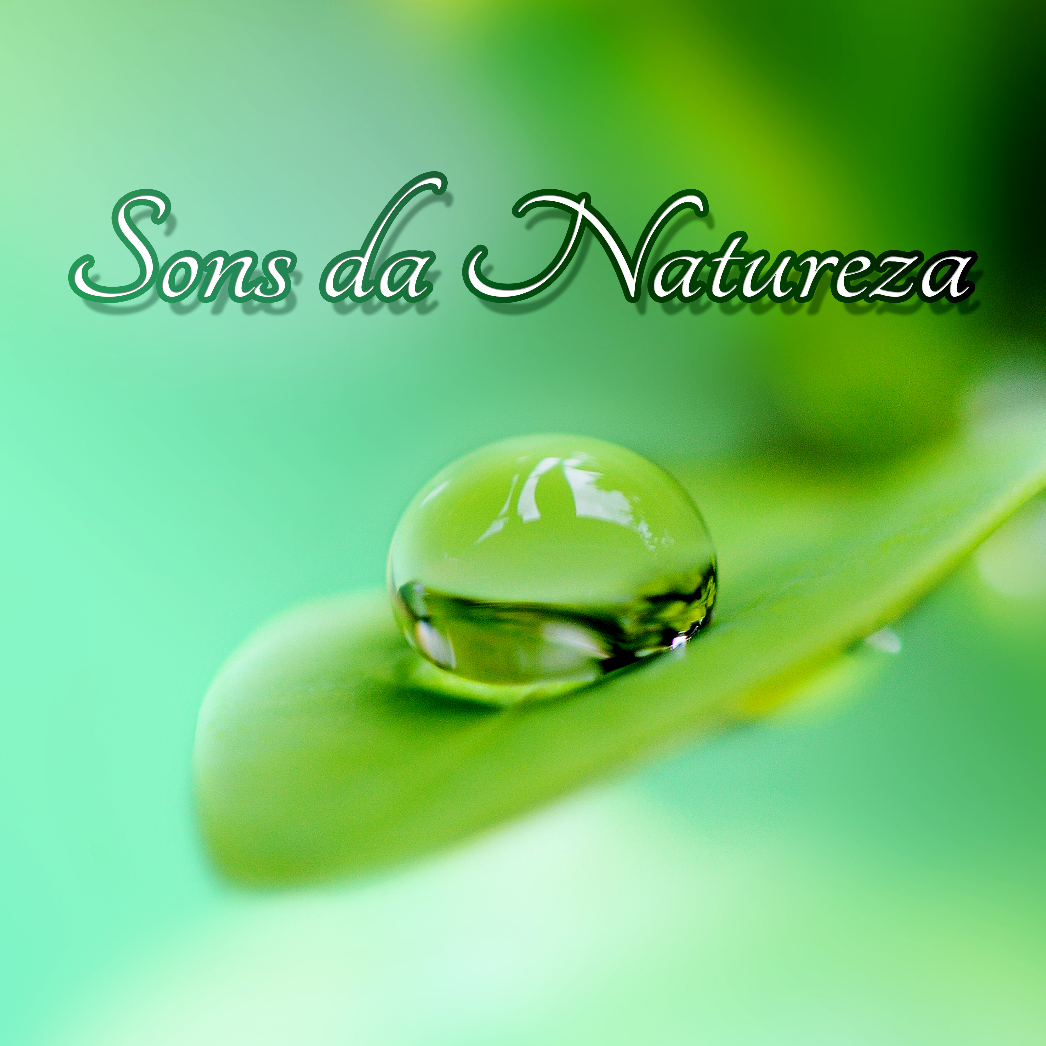 Sons da Natureza - Meditação e Espiritualidade New Age, Canciones para Dormir, Música para Relaxar, Estresse e Sono, Musica Relajante, Bem Estar, Pensamento Positivo, Relaxamento