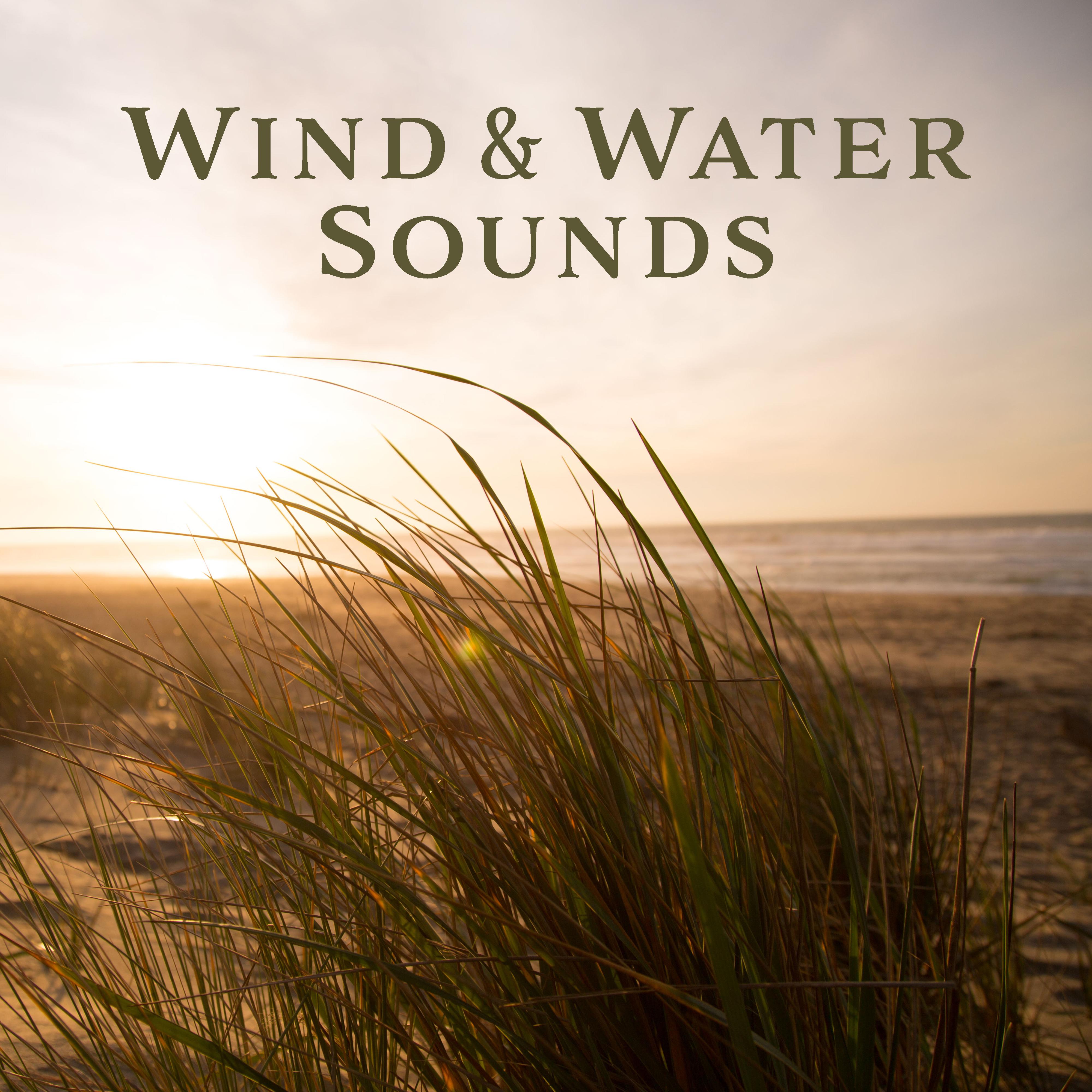 Wind & Water Sounds – Music for Sleep, Relief Insomnia, Deep Relaxation, Wind Songs