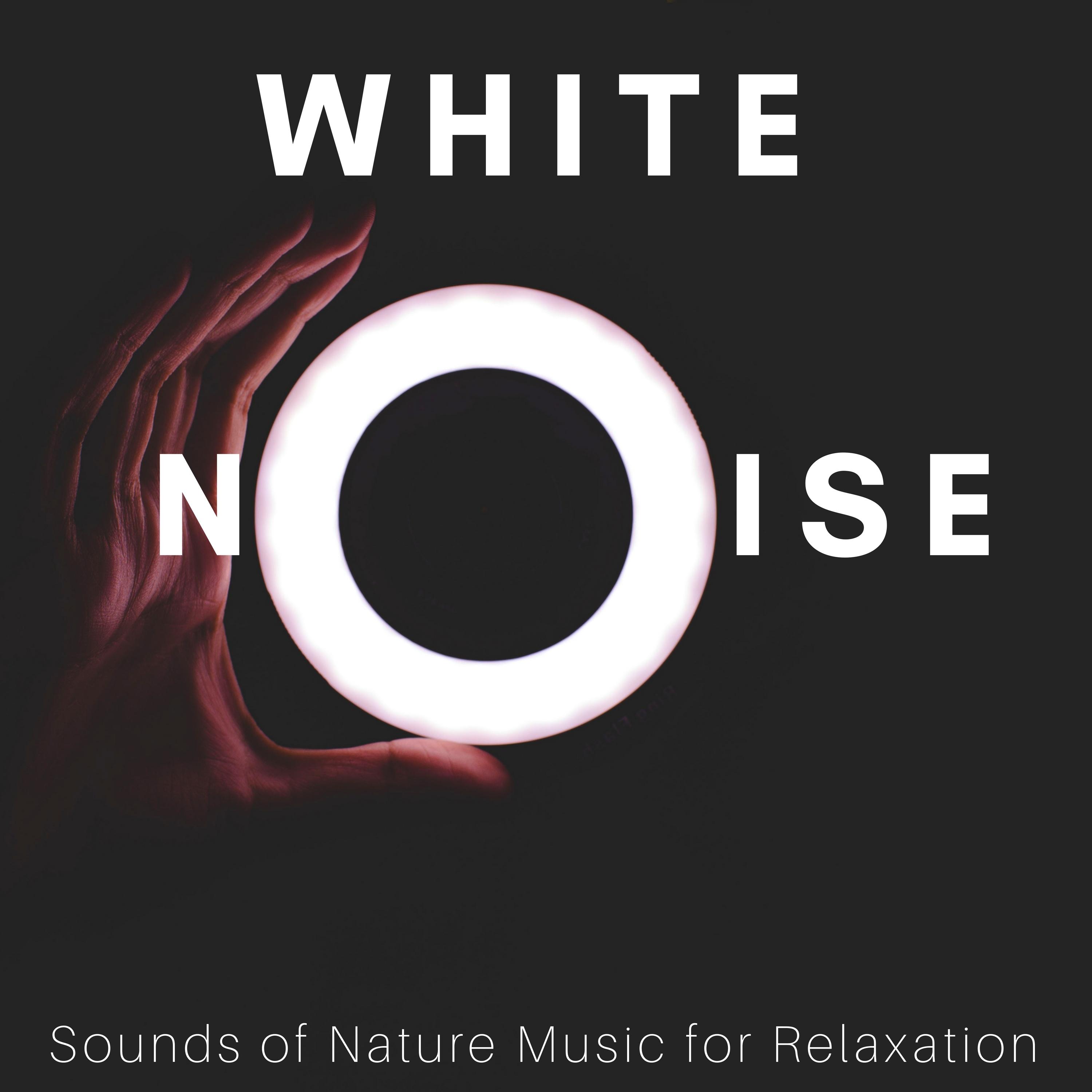 Nature Sounds Relaxation