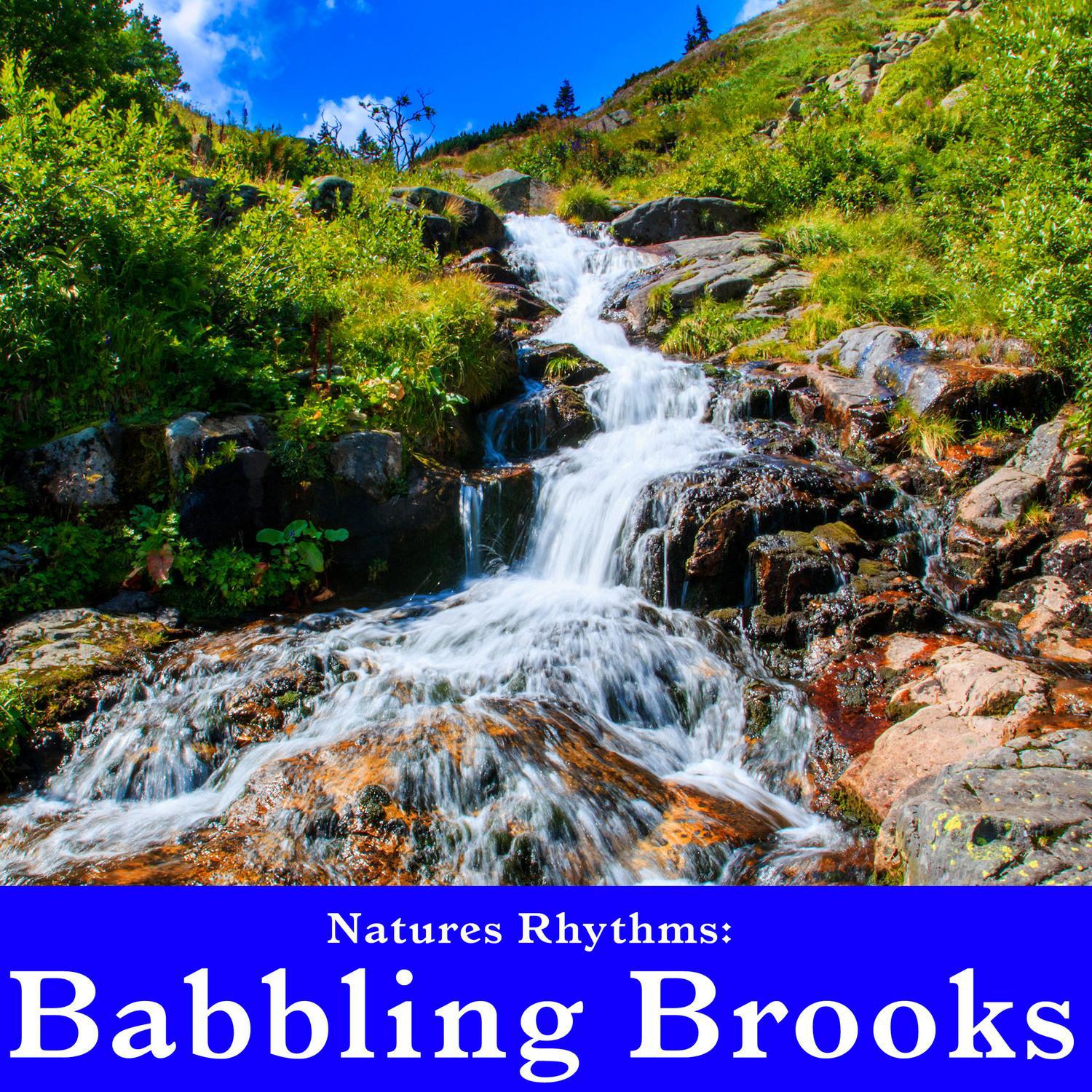 Natures Rhythms: Babbling Brook