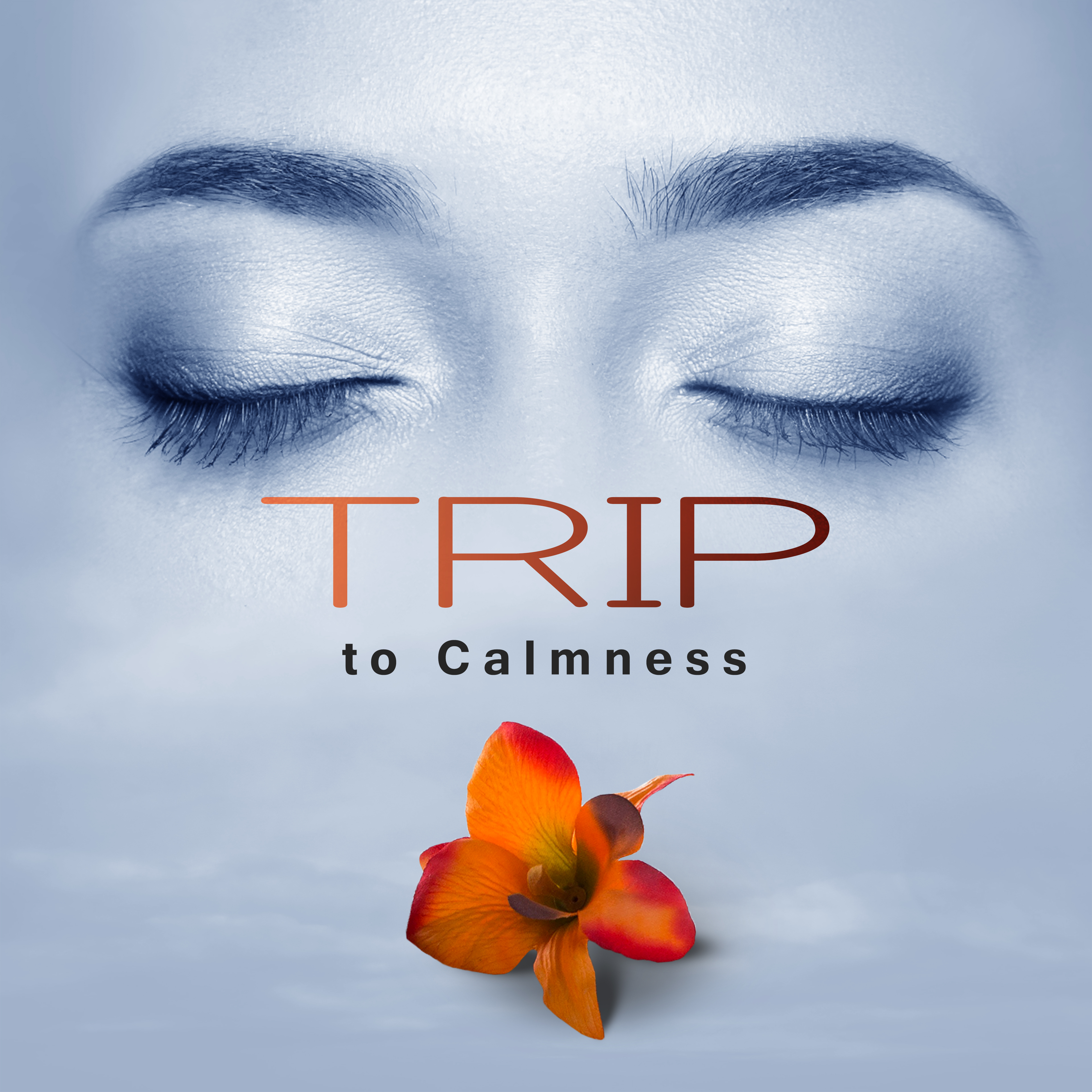 Trip to Calmness – Body Harmony, Spa Music, Relax, Massage Music, Nature Sounds Reduce Stress, Music for Beauty & Body
