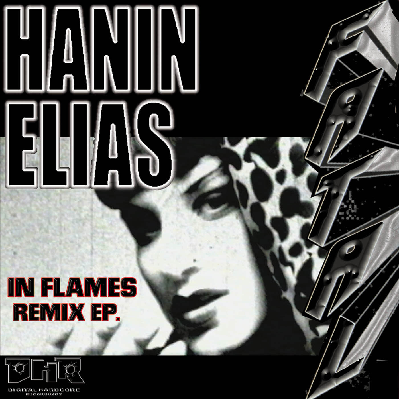 In Flames Remix