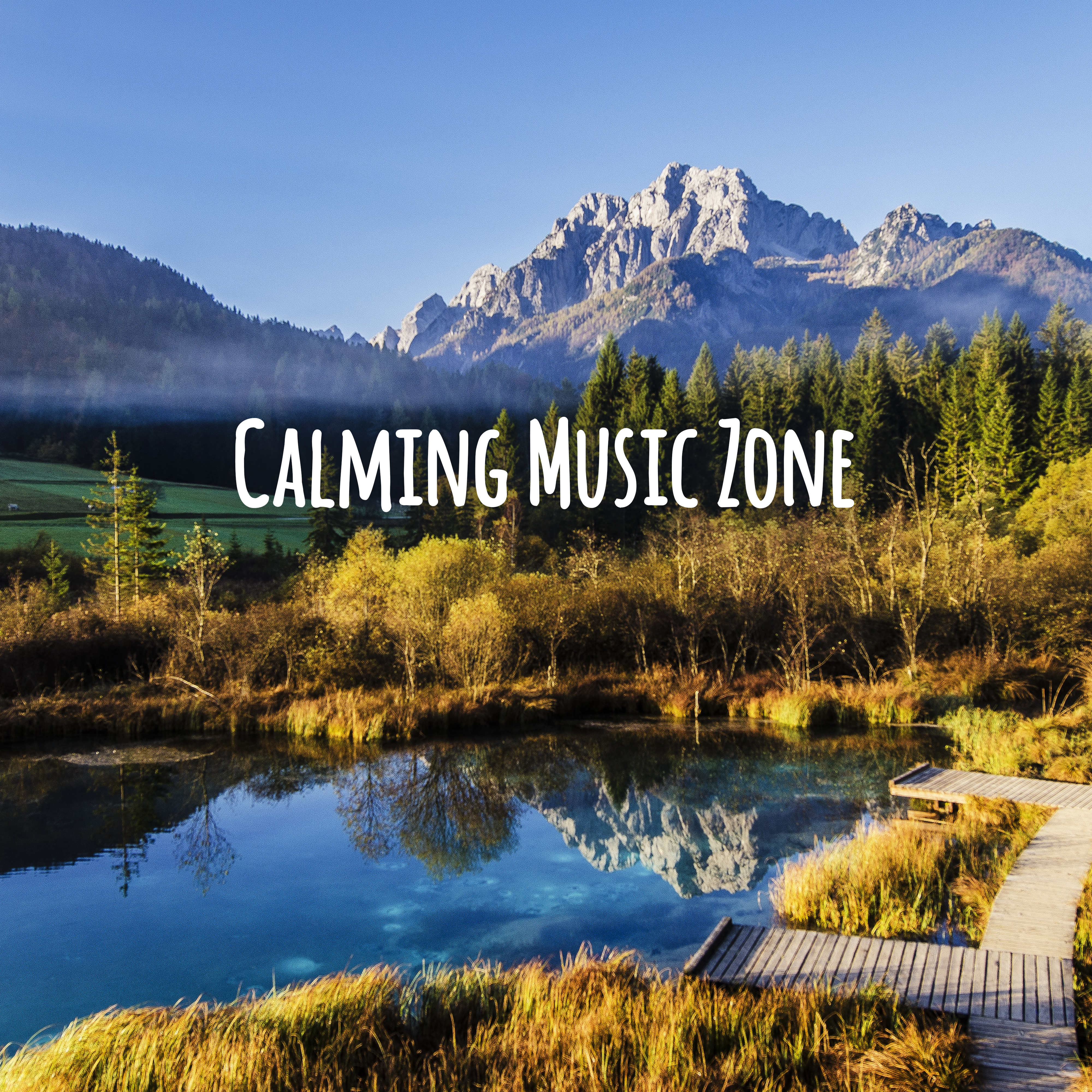 Calming Music Zone