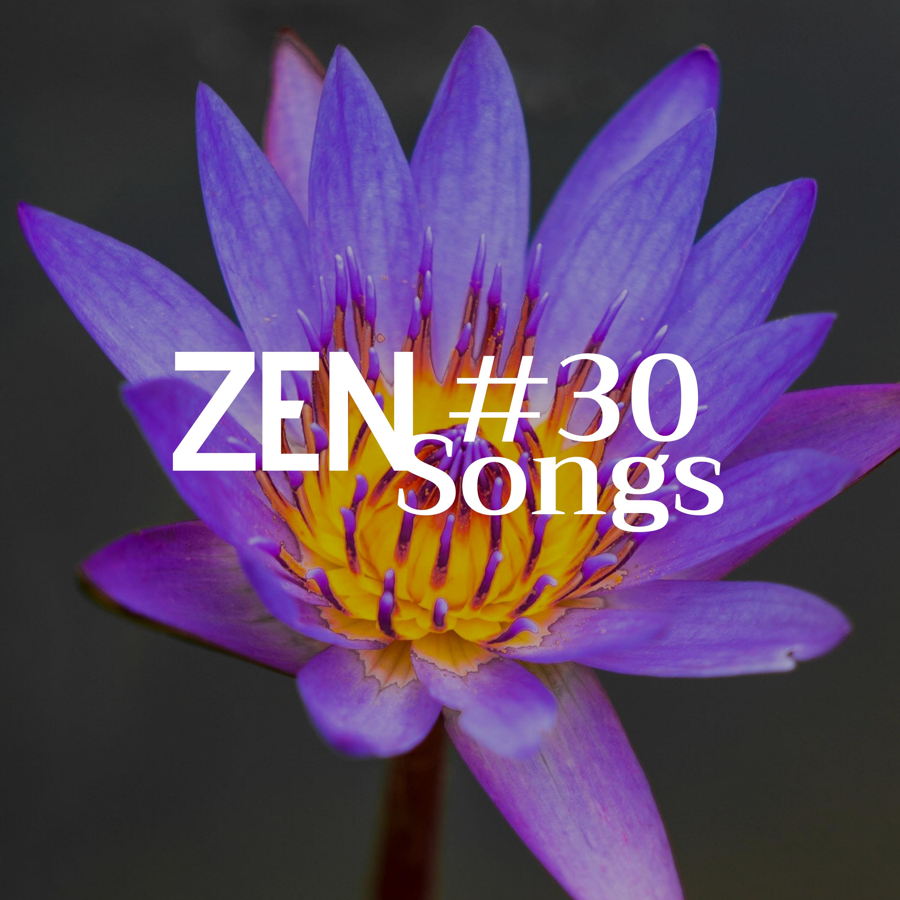 #30 Zen Songs - a Collection of Relaxing Music and Nature Sounds (Sea Waves, Water Sounds, Rain, Forest Sounds, Wind), White Noise, Piano Music and Buddhist Music