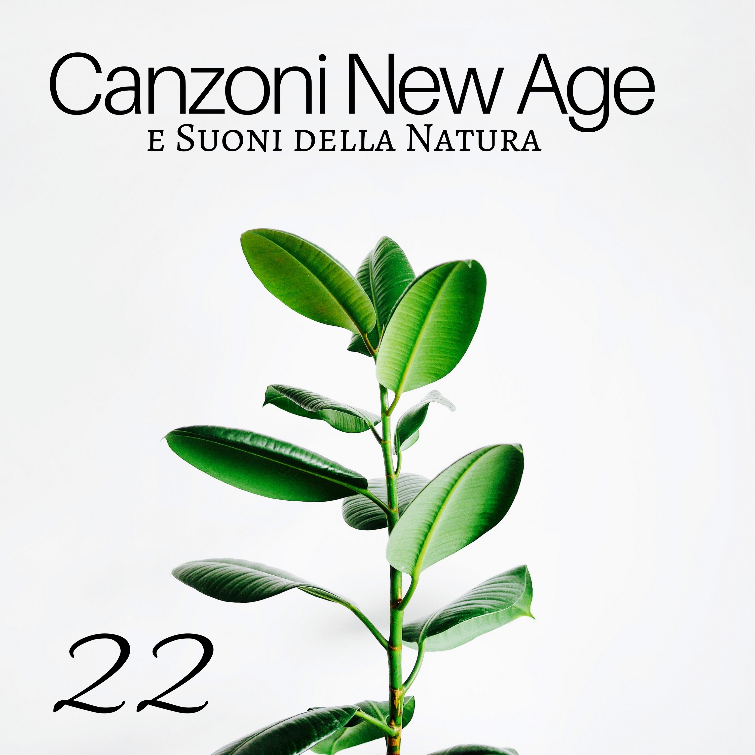 Canzone New Age