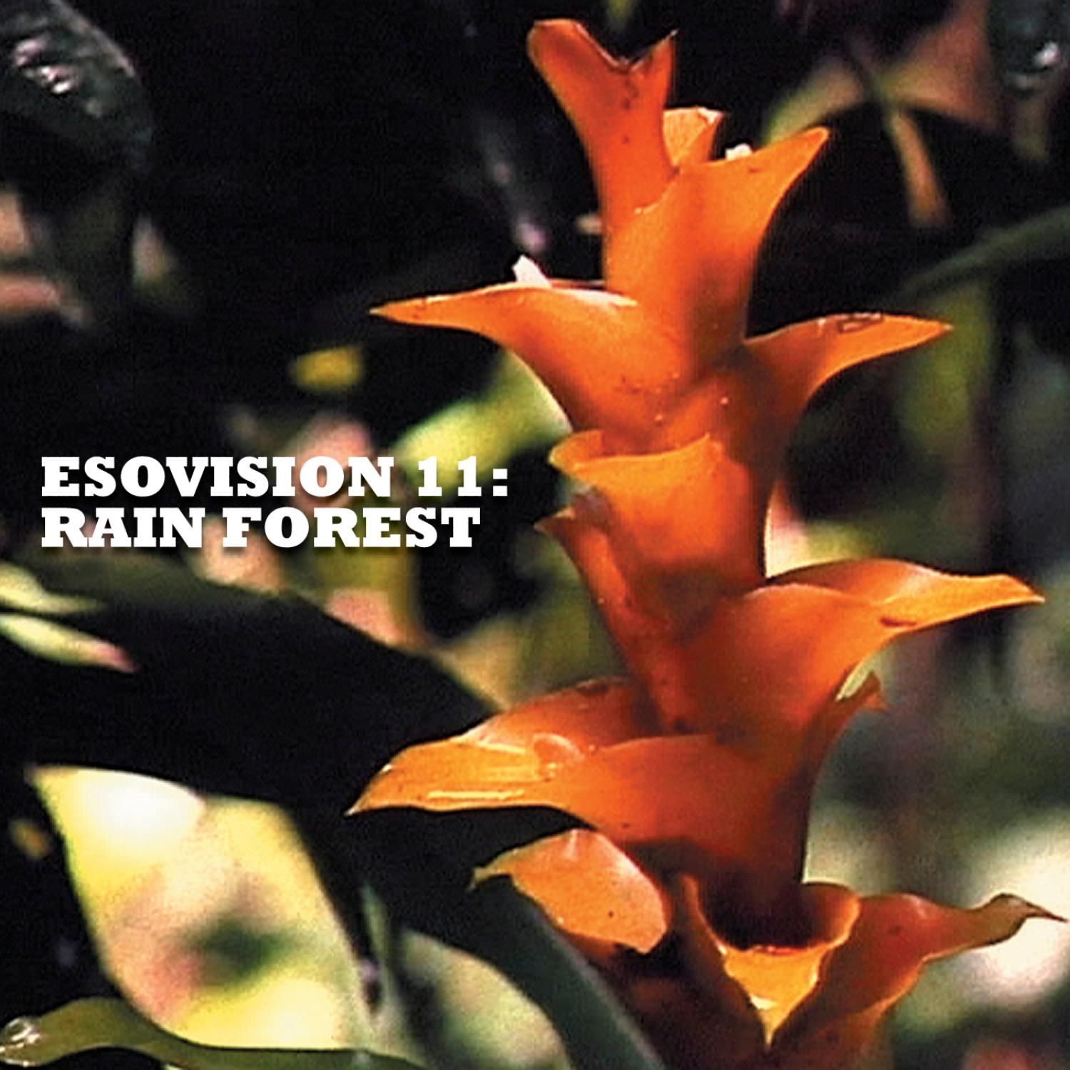 Esovision 11: Rain Forest