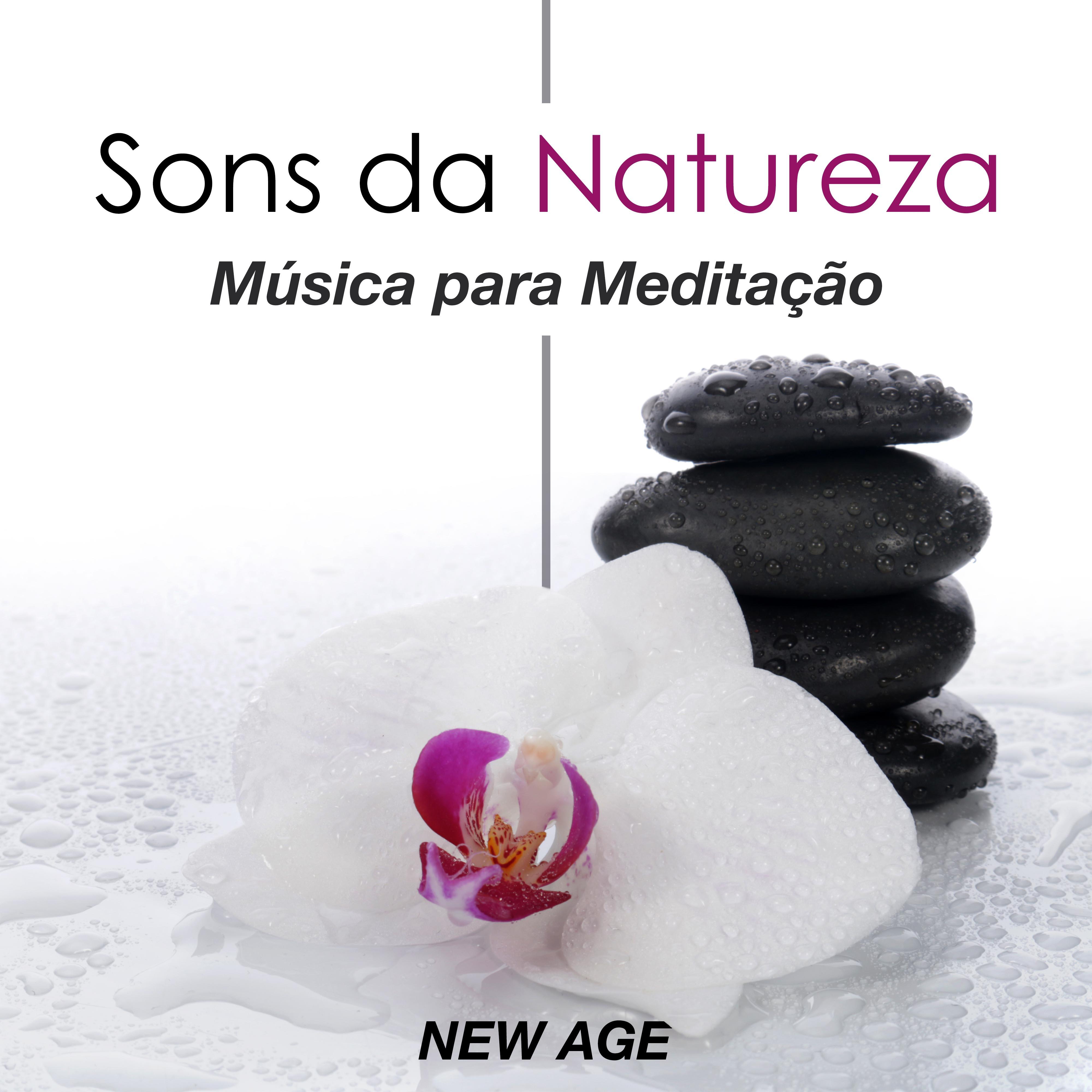 Sons da Natureza: Música para Meditação com Música Clássica e Sonora e Músicas para Sono Reparador, Bem-estar e Serenidade