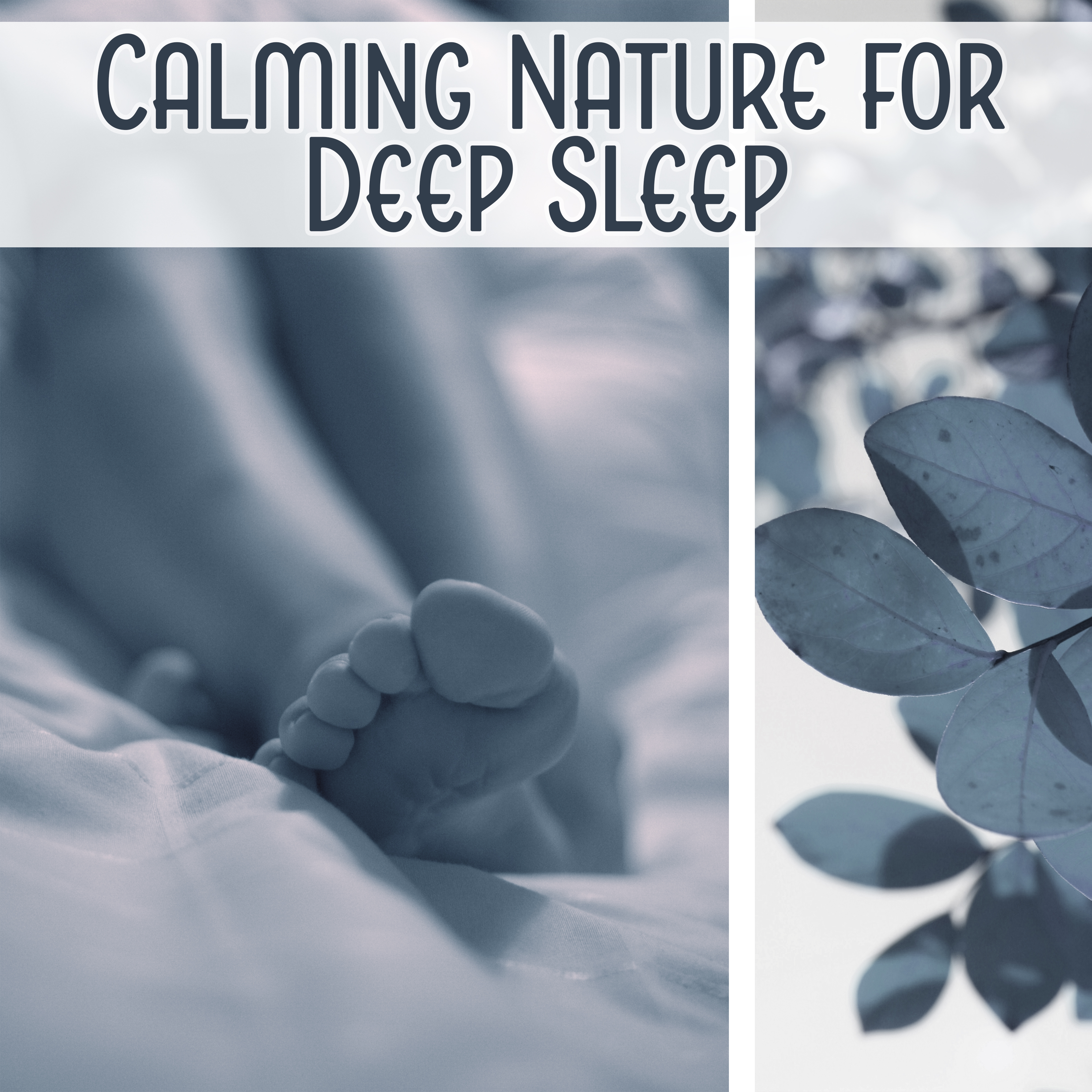 Calming Nature for Deep Sleep – Soothing Waves, Sleep All Night, Evening Relaxation, New Age Music