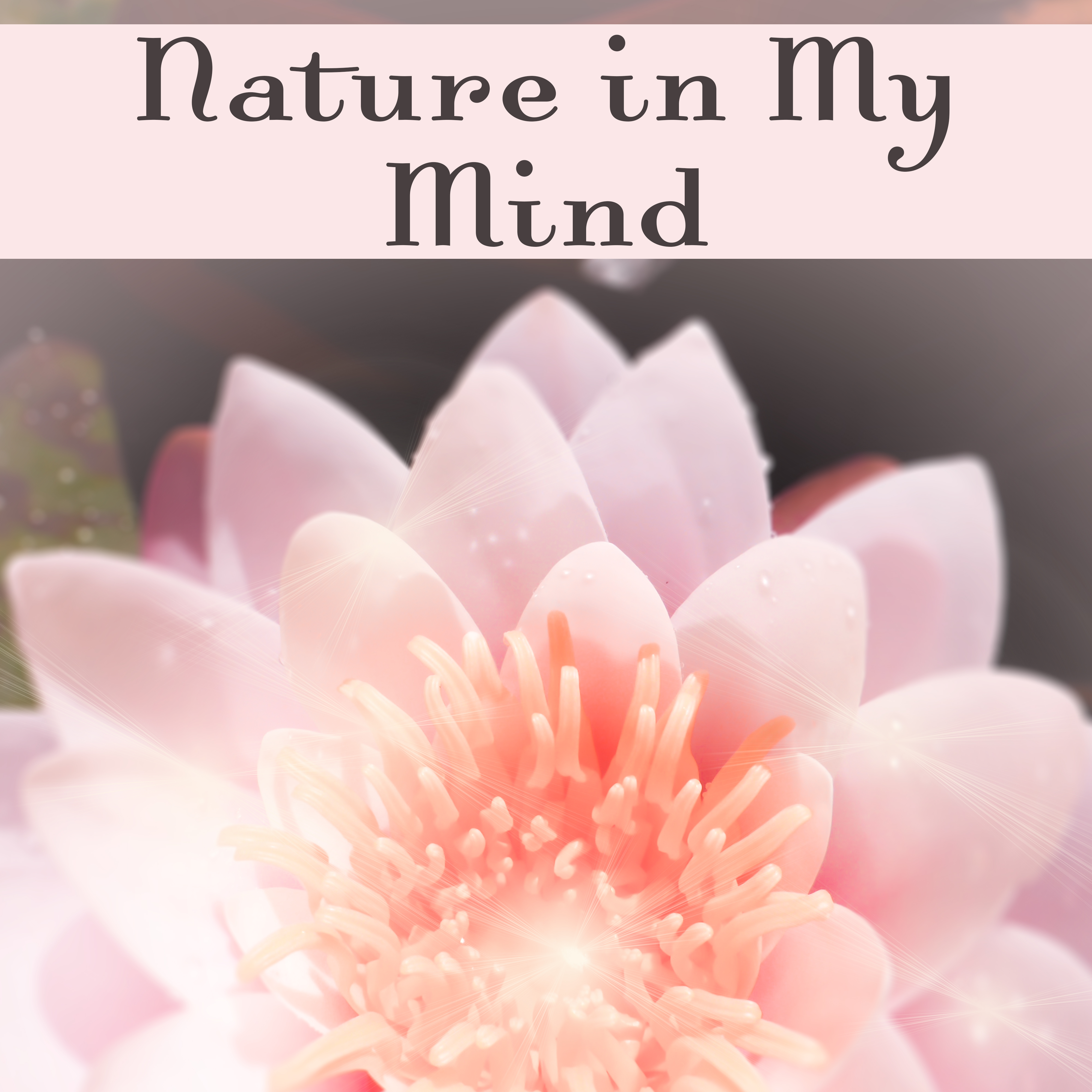 Nature in My Mind – Spa Music, Calm Massage, Wellness, Nature Sounds, Zen, Stress Free, Relaxing Waves, Relief
