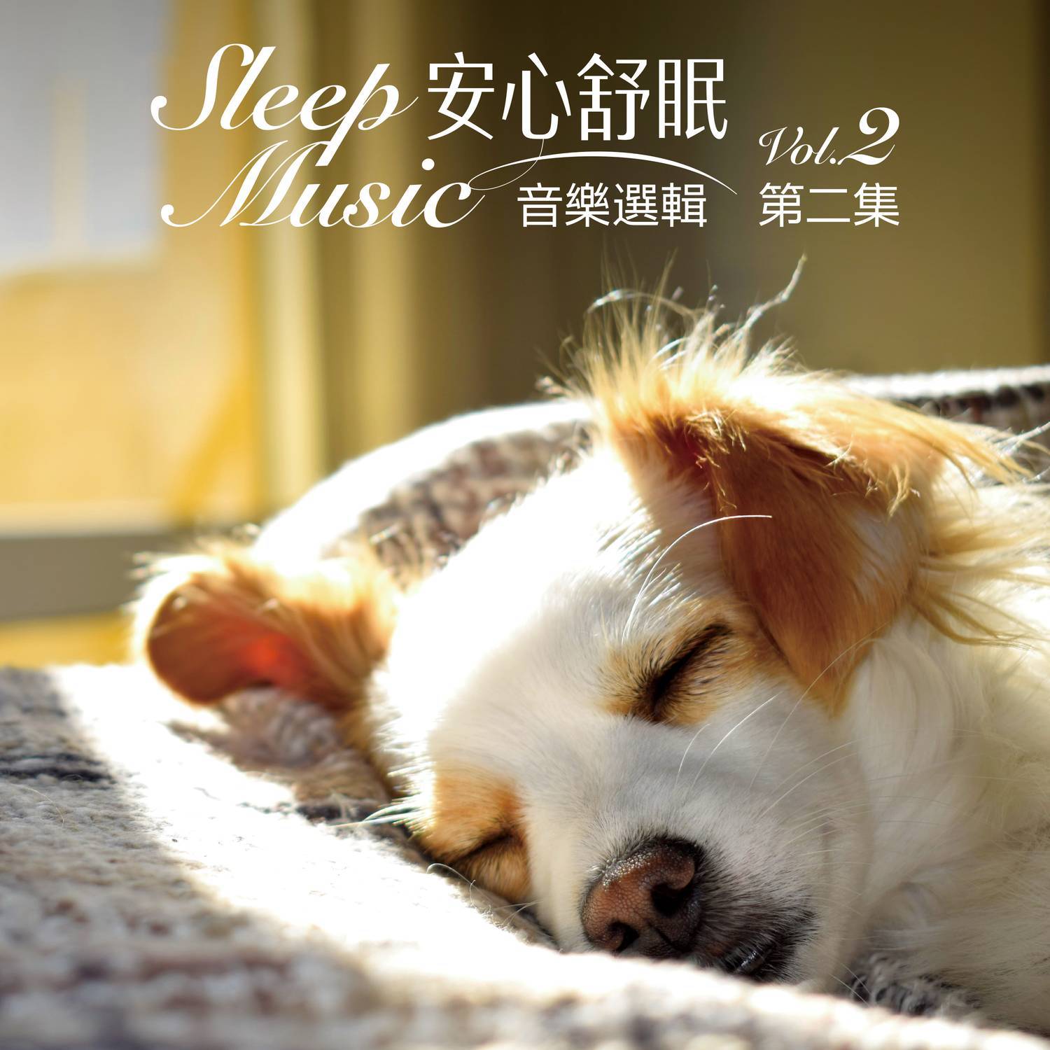 Sleep Music Vol. 2