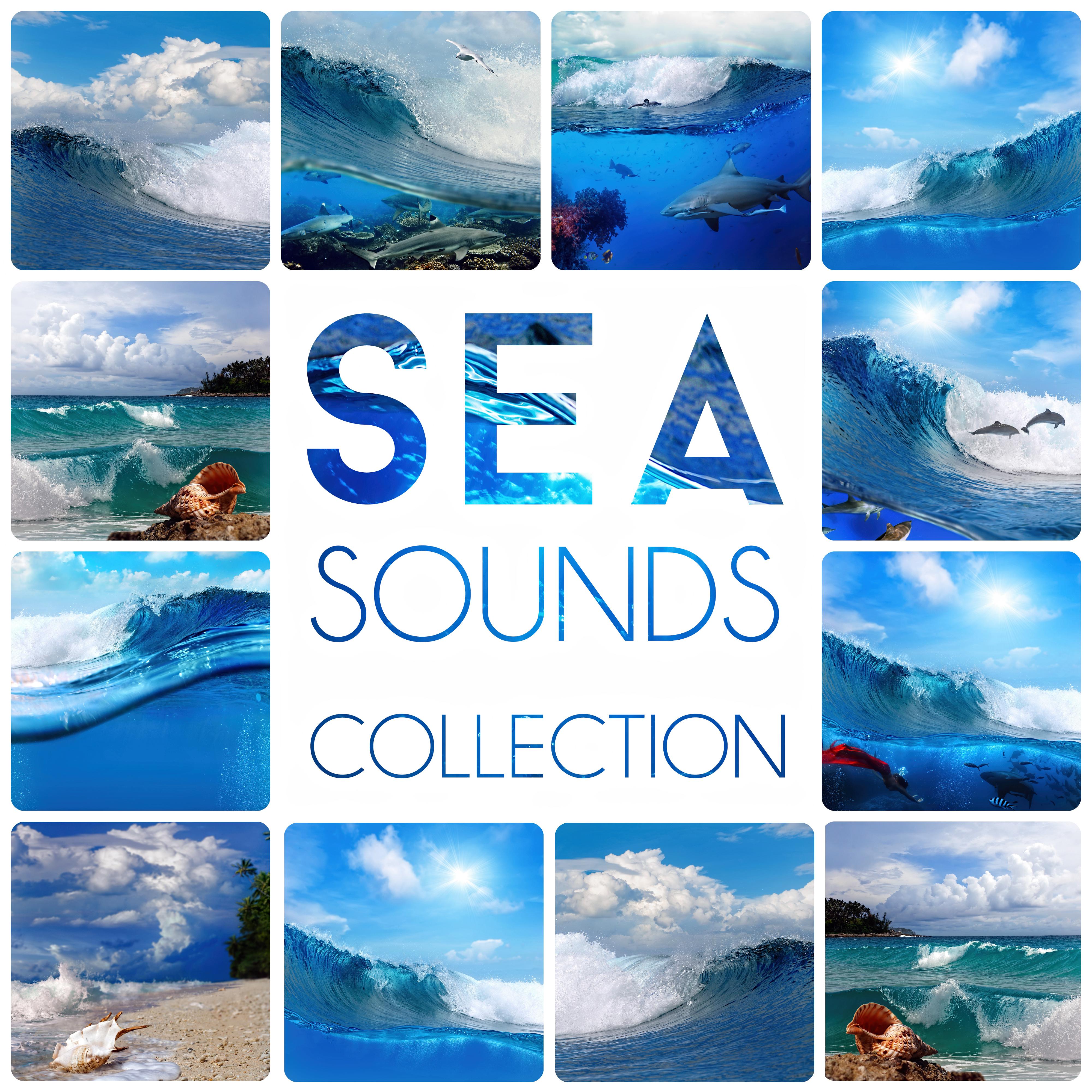 Sea Sounds Collection – Nature Sounds, Calmness, Water, Feel Good, Easy Listening, Crystal World, Waves, Spa Music