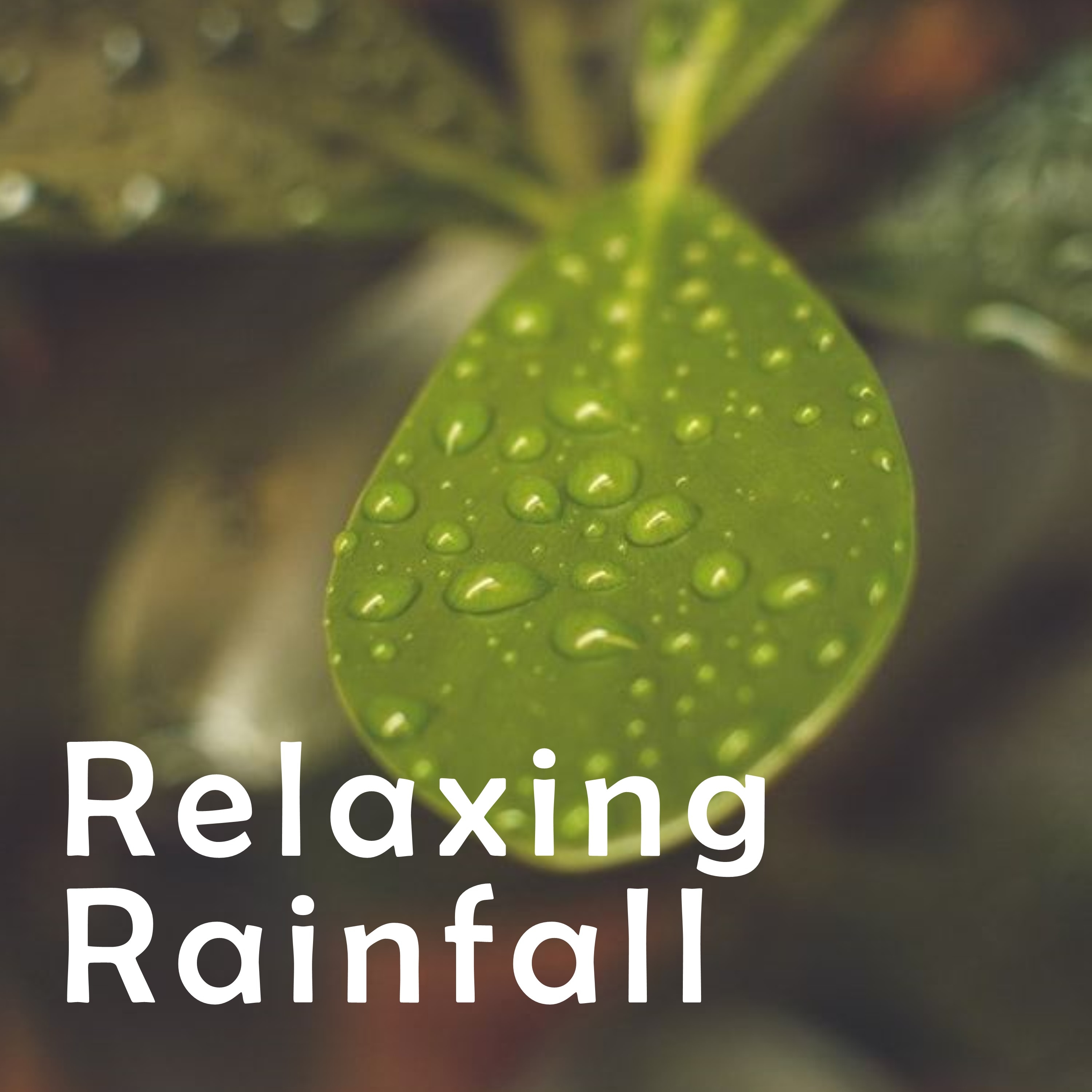 16 Spa Relaxation Rain Sounds