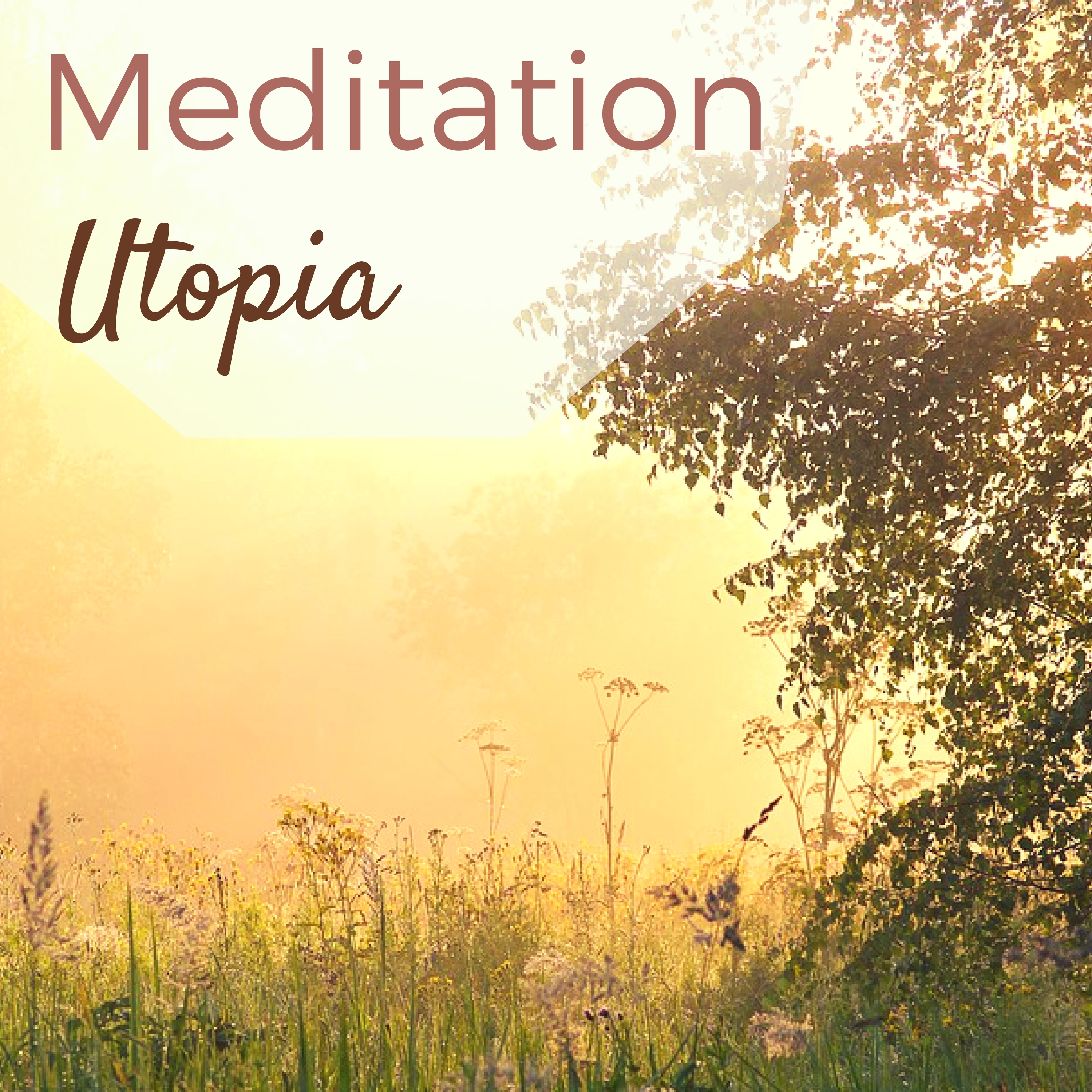 Meditation Utopia - Tranquility Oasis of Peace, Background Music for Mindfulness