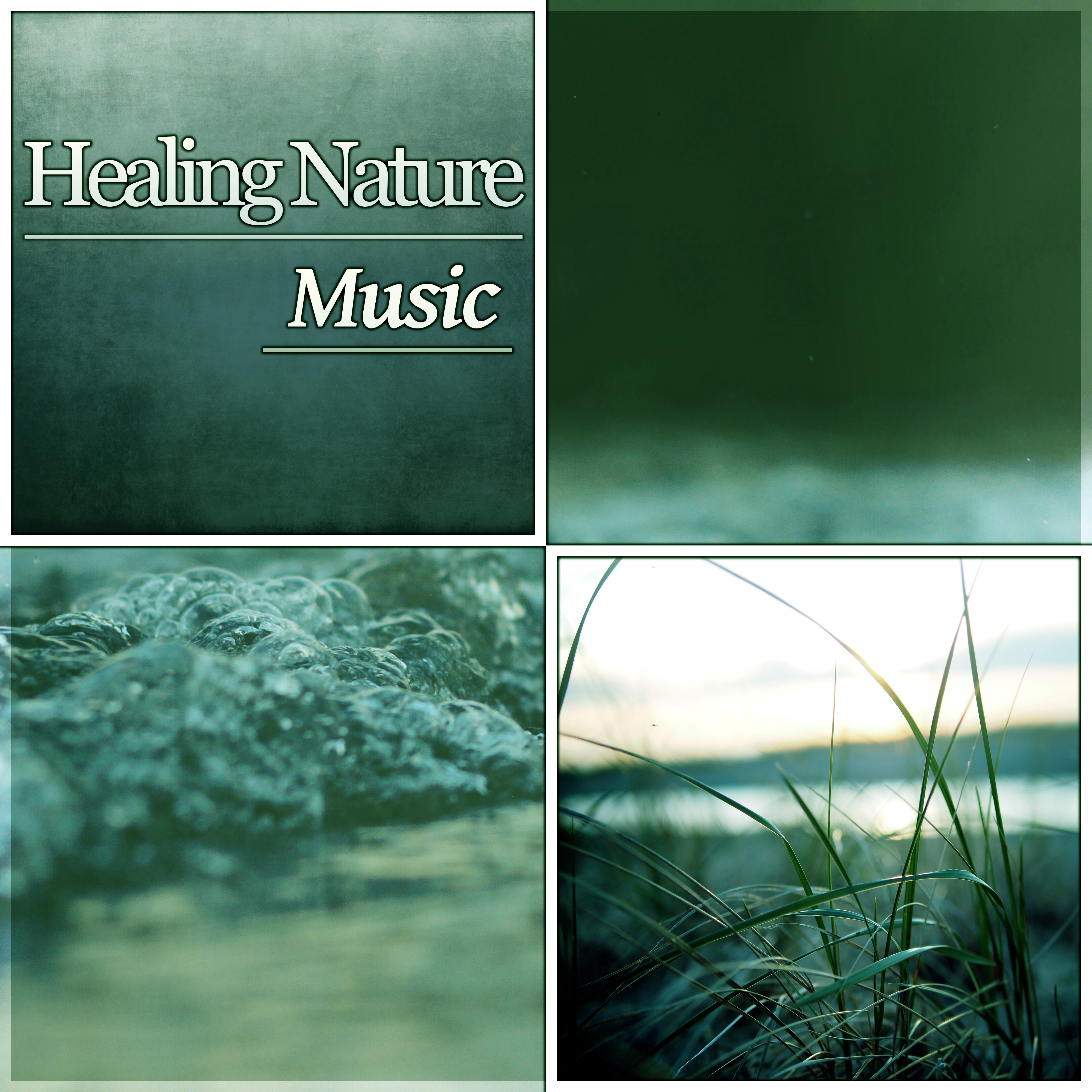Healing Nature Music – Rain Music, Spa Wellness, Meditation Music, Massage, Easy Listening, Nature Sounds, Calmness