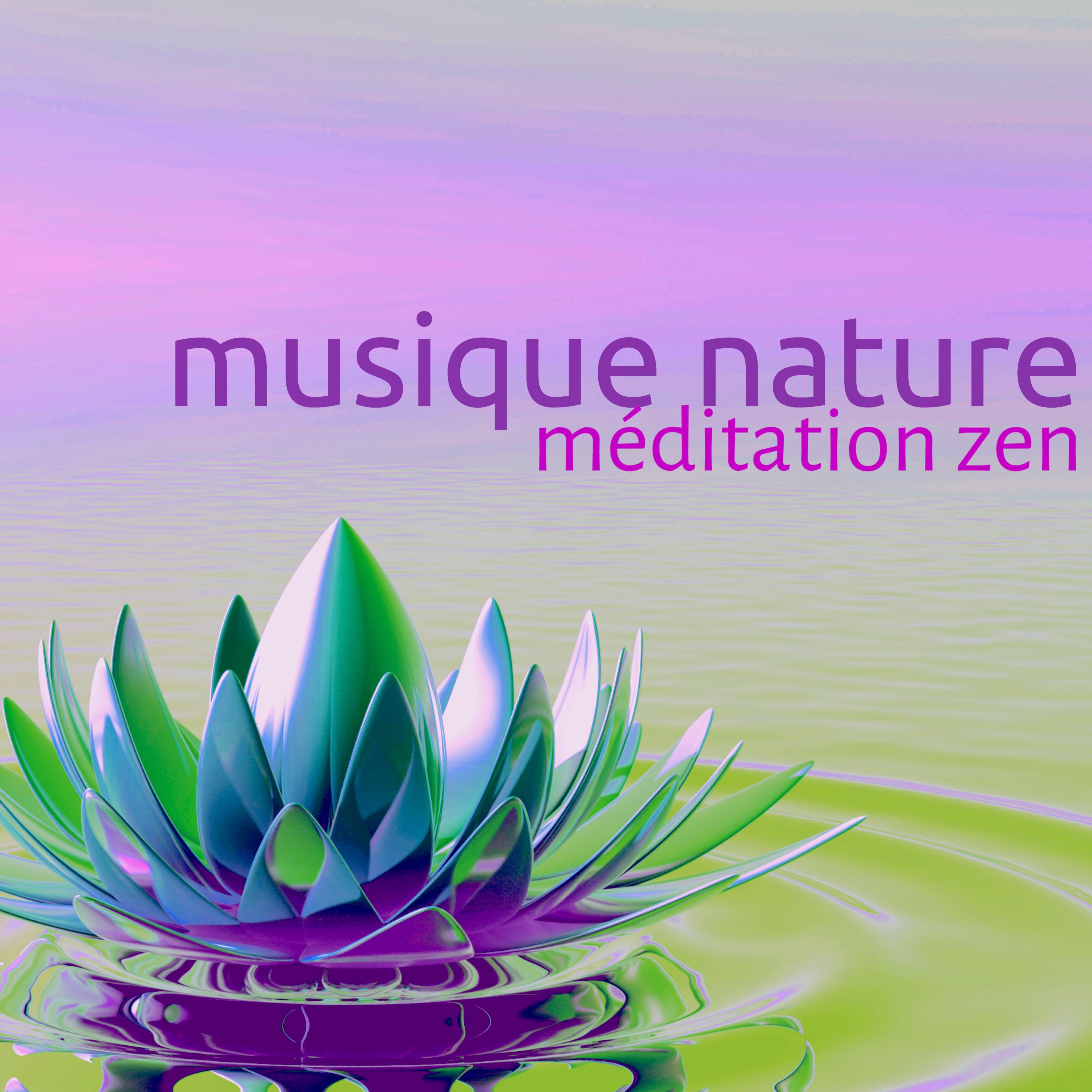 Musique Nature – Chansons pour Méditation Zen, Yoga et Sophrologie, Sons de la Nature pour Relaxation et Bien-être