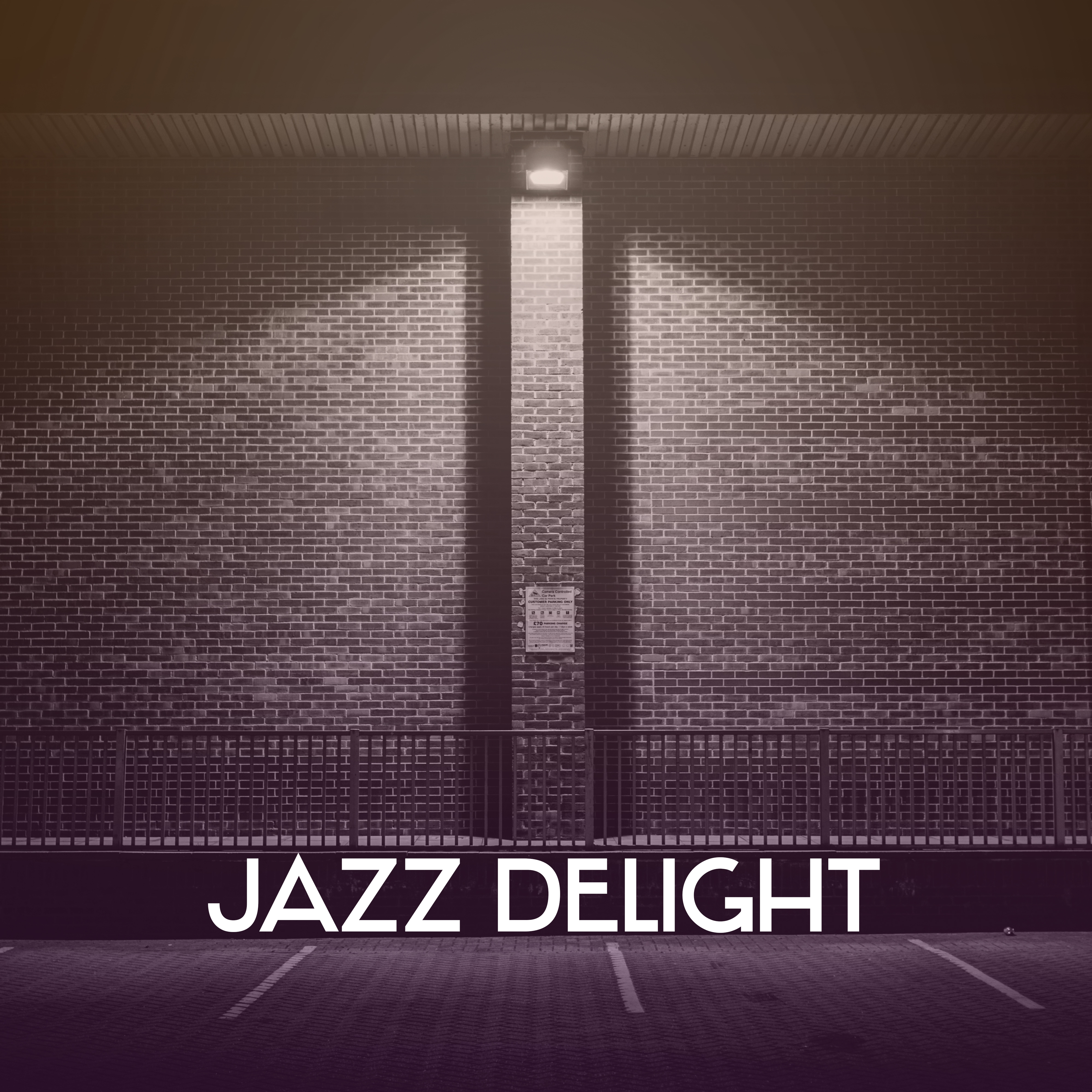 Jazz Delight – Instrumental Music for Relaxation, Piano Jazz, Calm Guitar, Chillout, Smooth Jazz, Relaxing Night