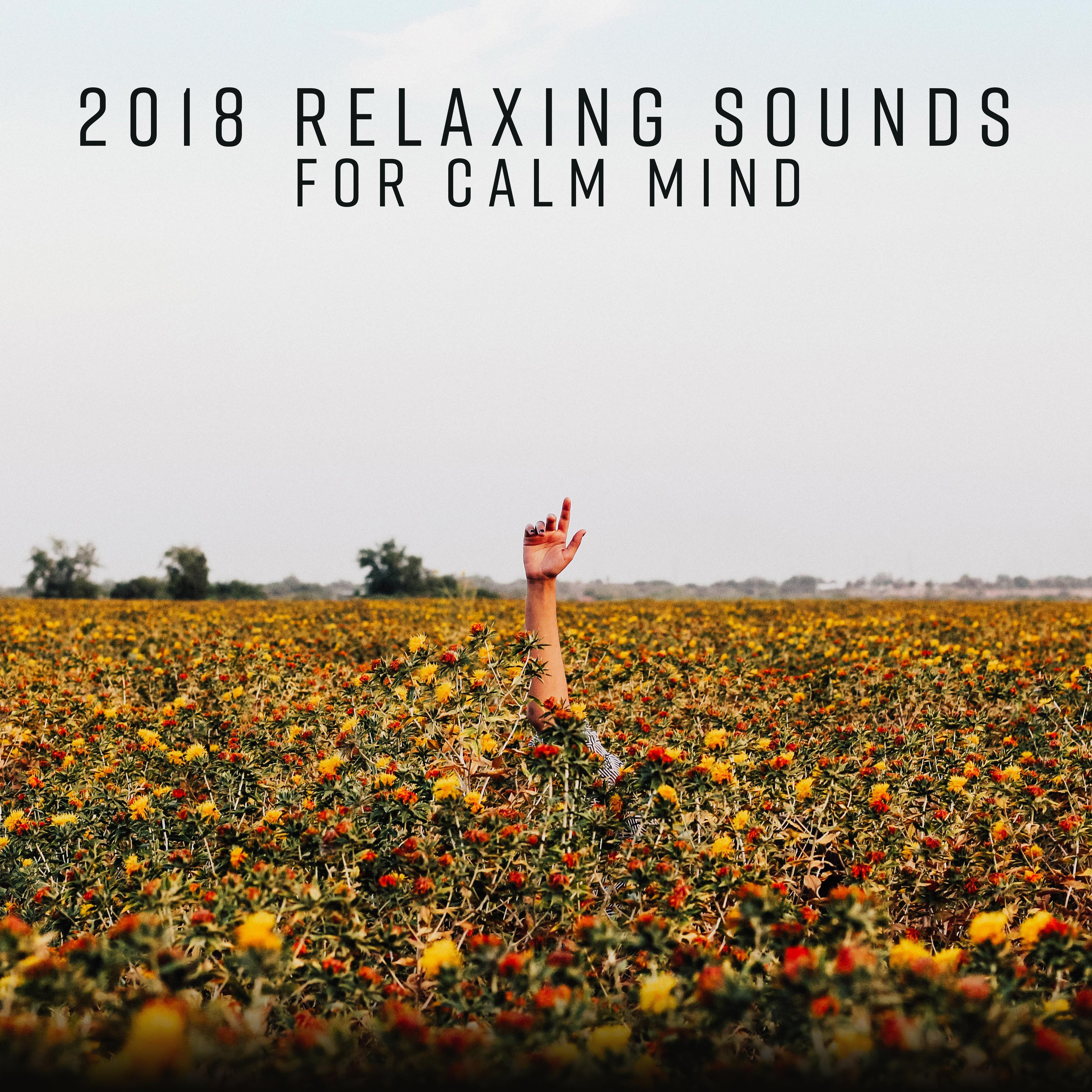2018 Relaxing Sounds for Calm Mind