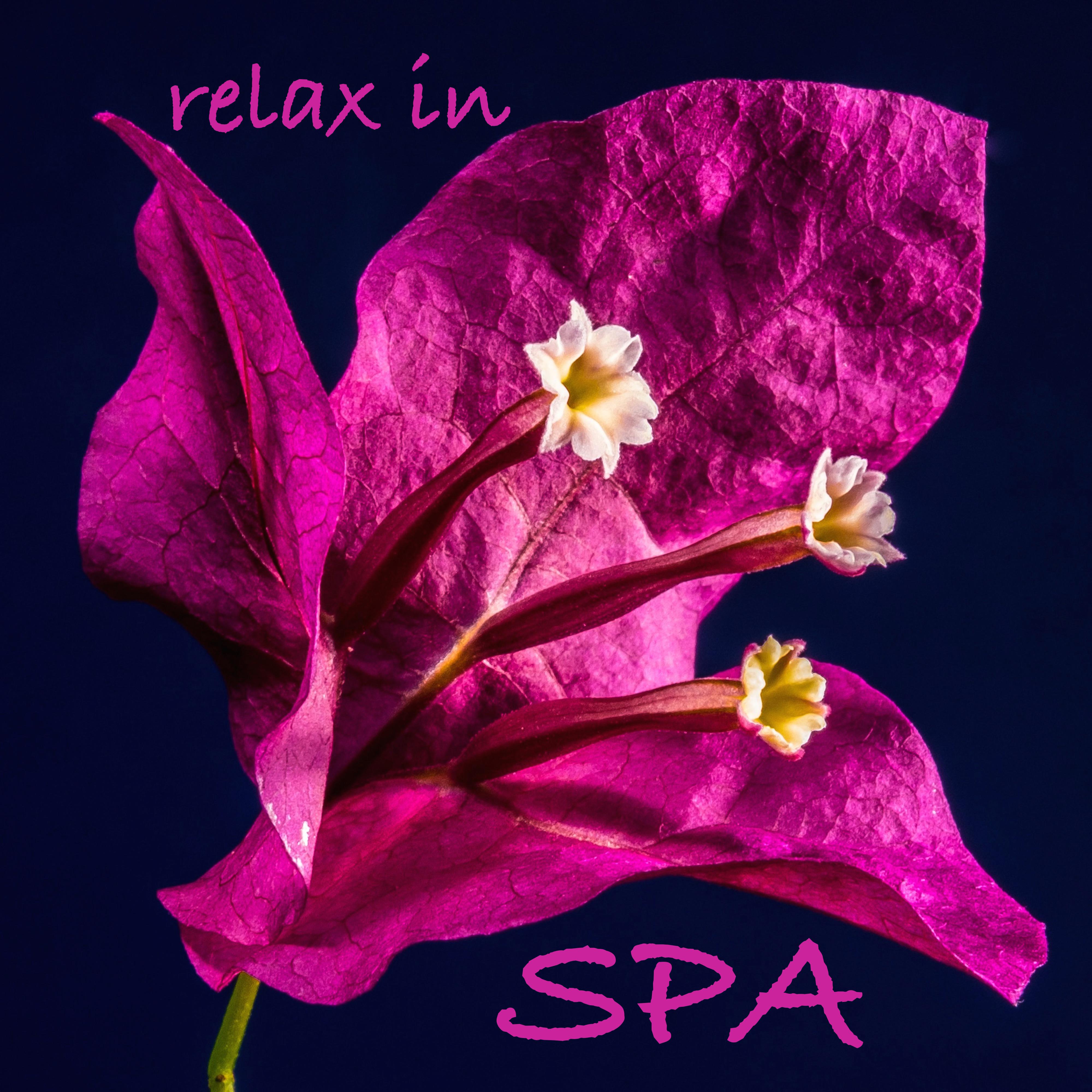 Relax in Spa - Zen Spa Music for Mindfulness and Relaxation