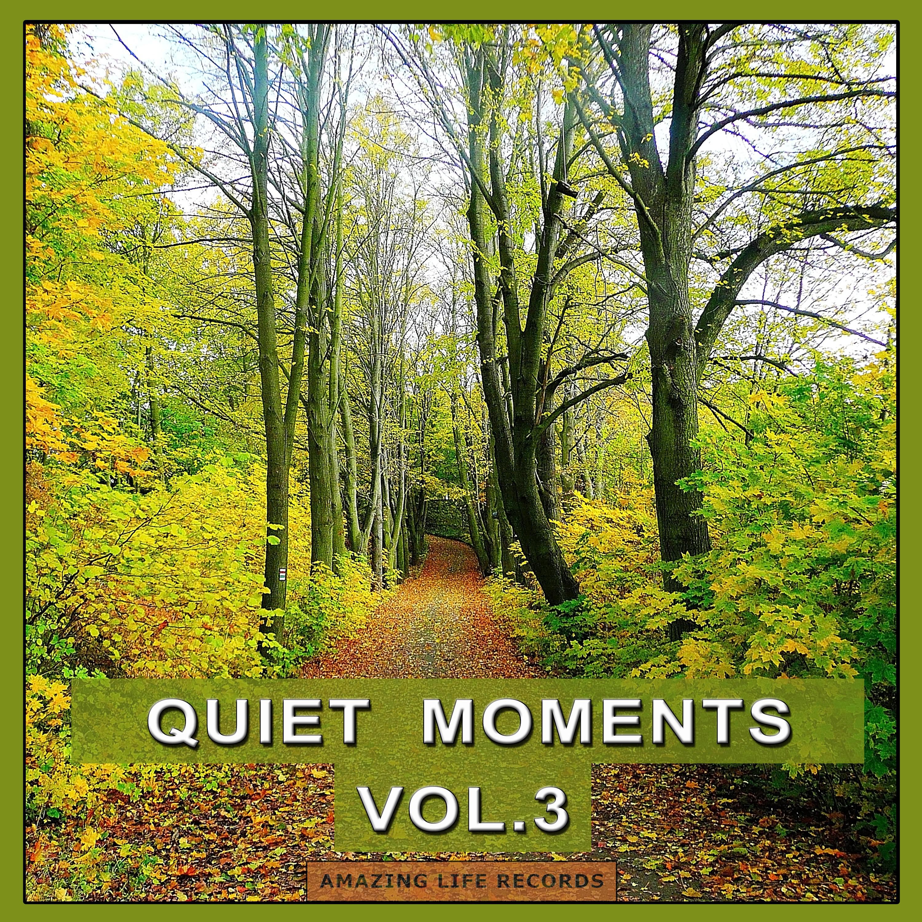 Quiet Moments, Vol. 3