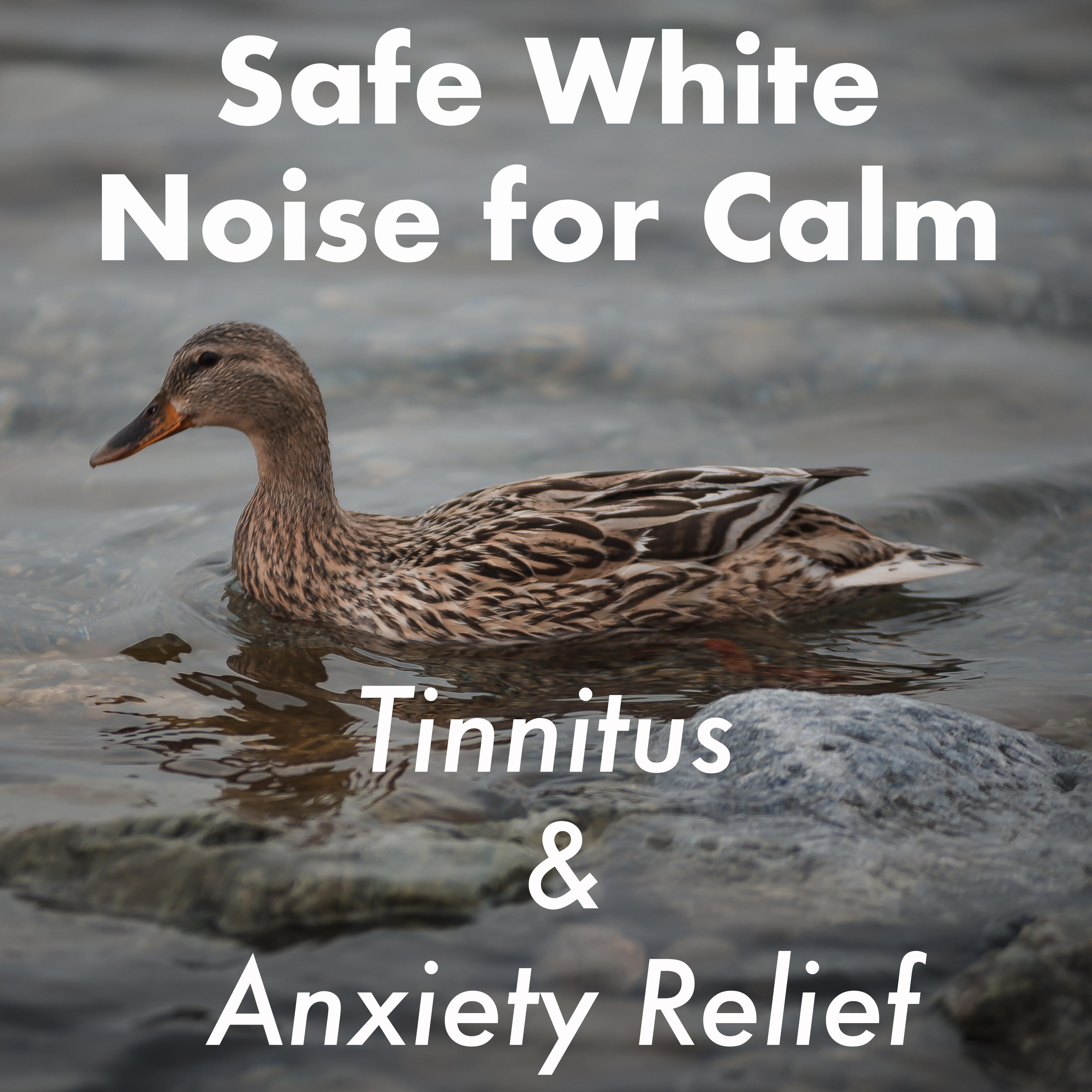 Ambient Works. White Noise Rain for Tinnitus and Anxiety Relief, Safe Sounds for Looping to Calm Down