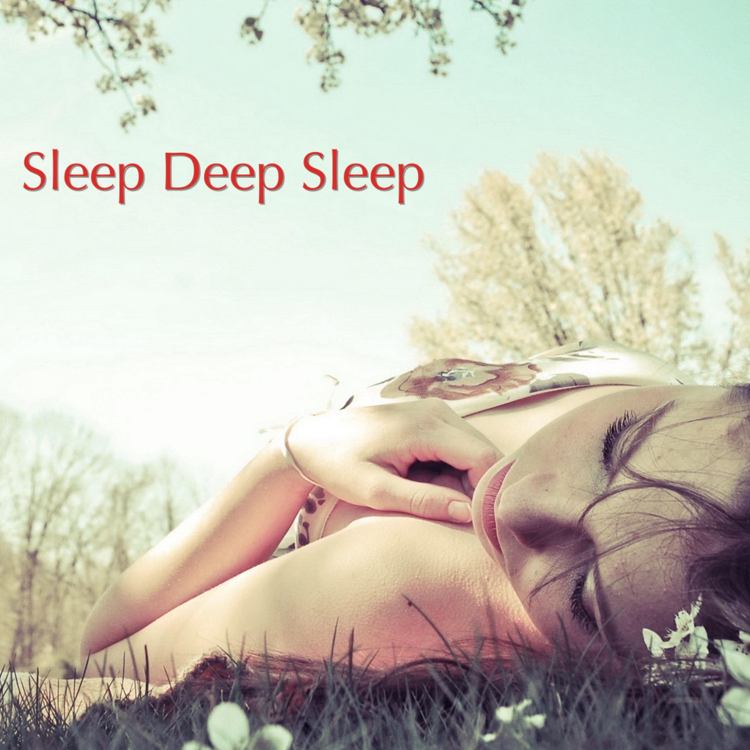 Sleep Deep Sleep
