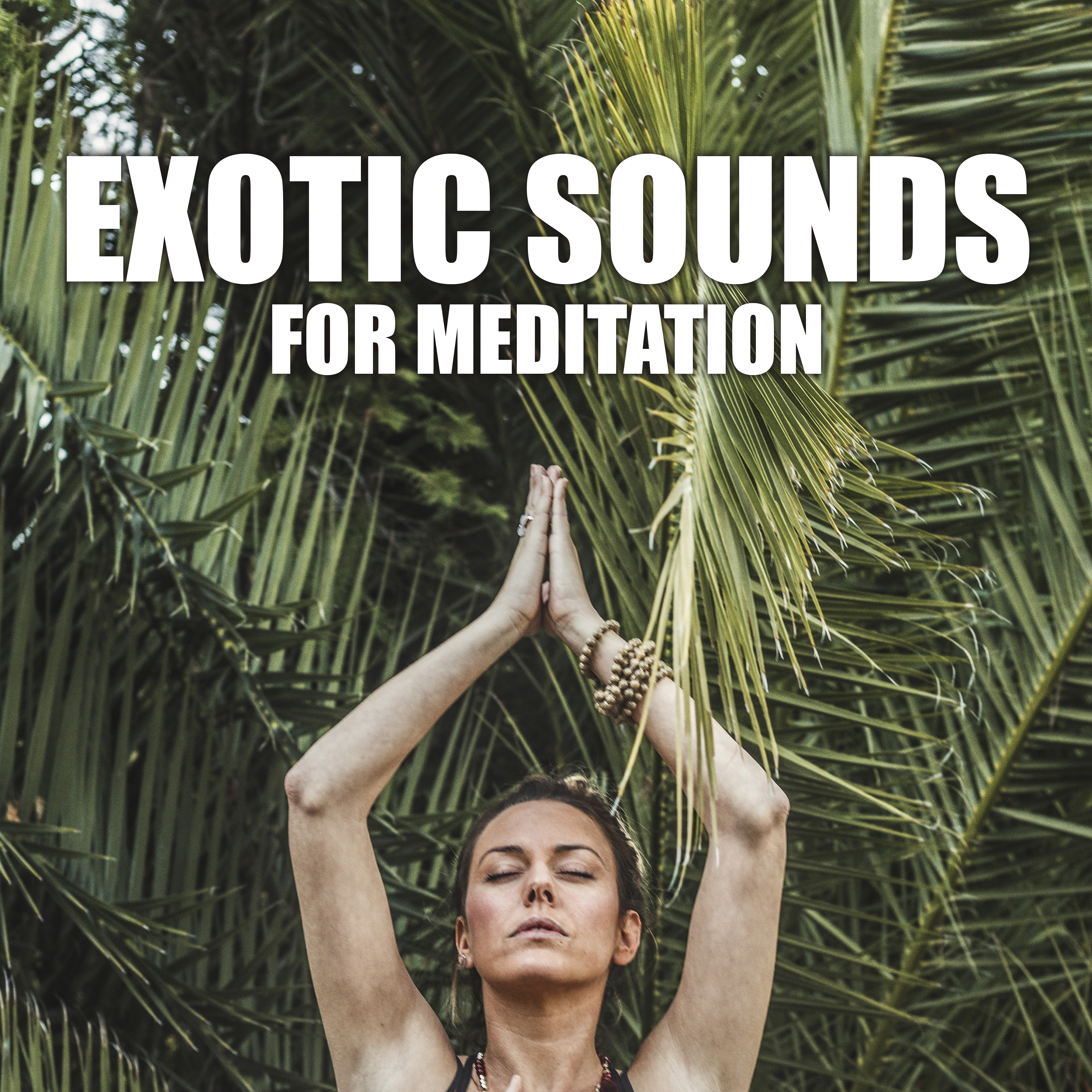 Exotic Sounds for Meditation