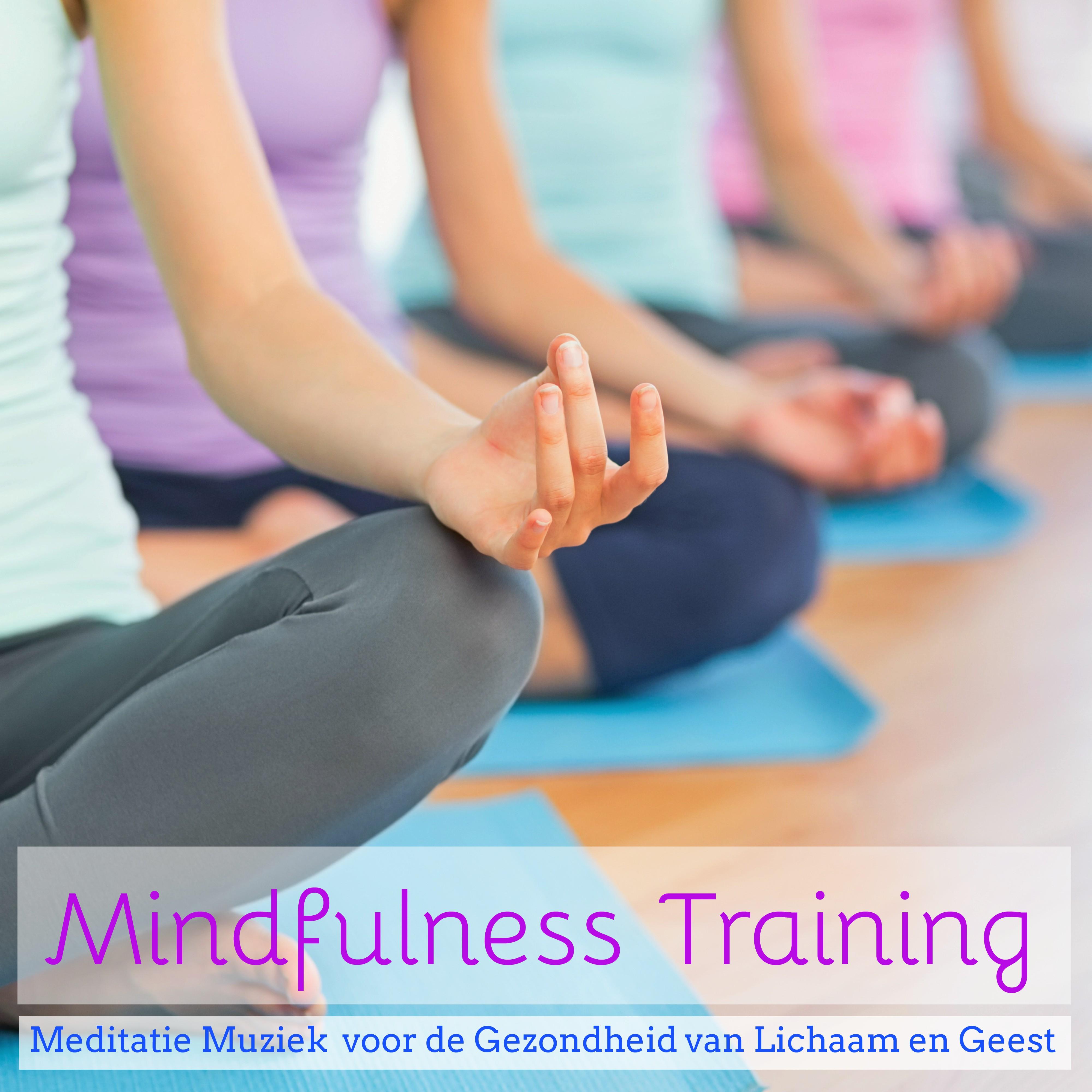 Mindfulness Training - Meditatie Muziek  voor de Gezondheid van Lichaam en Geest, Natuurgeluiden Instrumentale Muziek