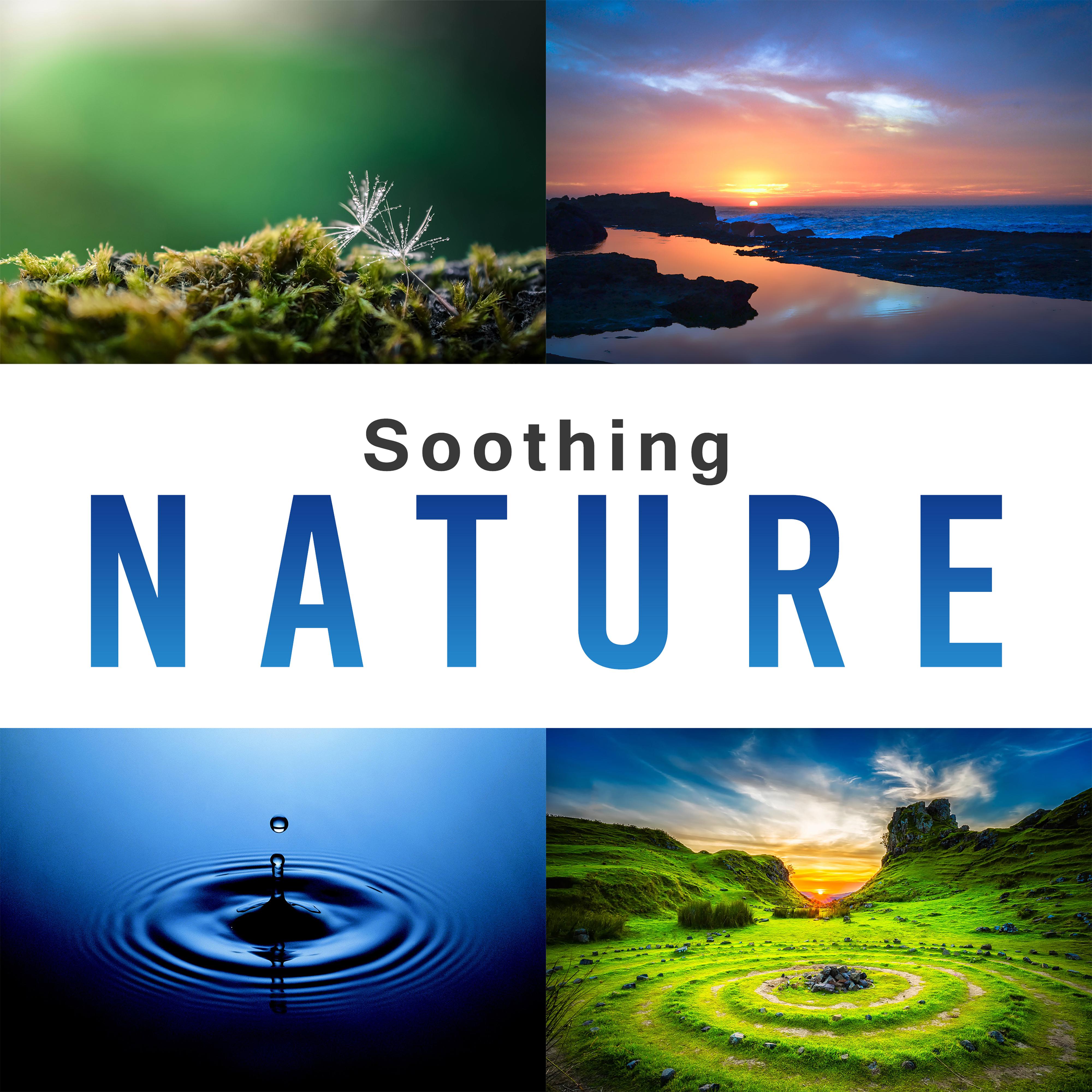 Soothing Nature – Pure Relaxation, New Age Music for Rest, Soft Nature Sounds to Calm Down, Just Relax, Ocean Waves, Zen Music