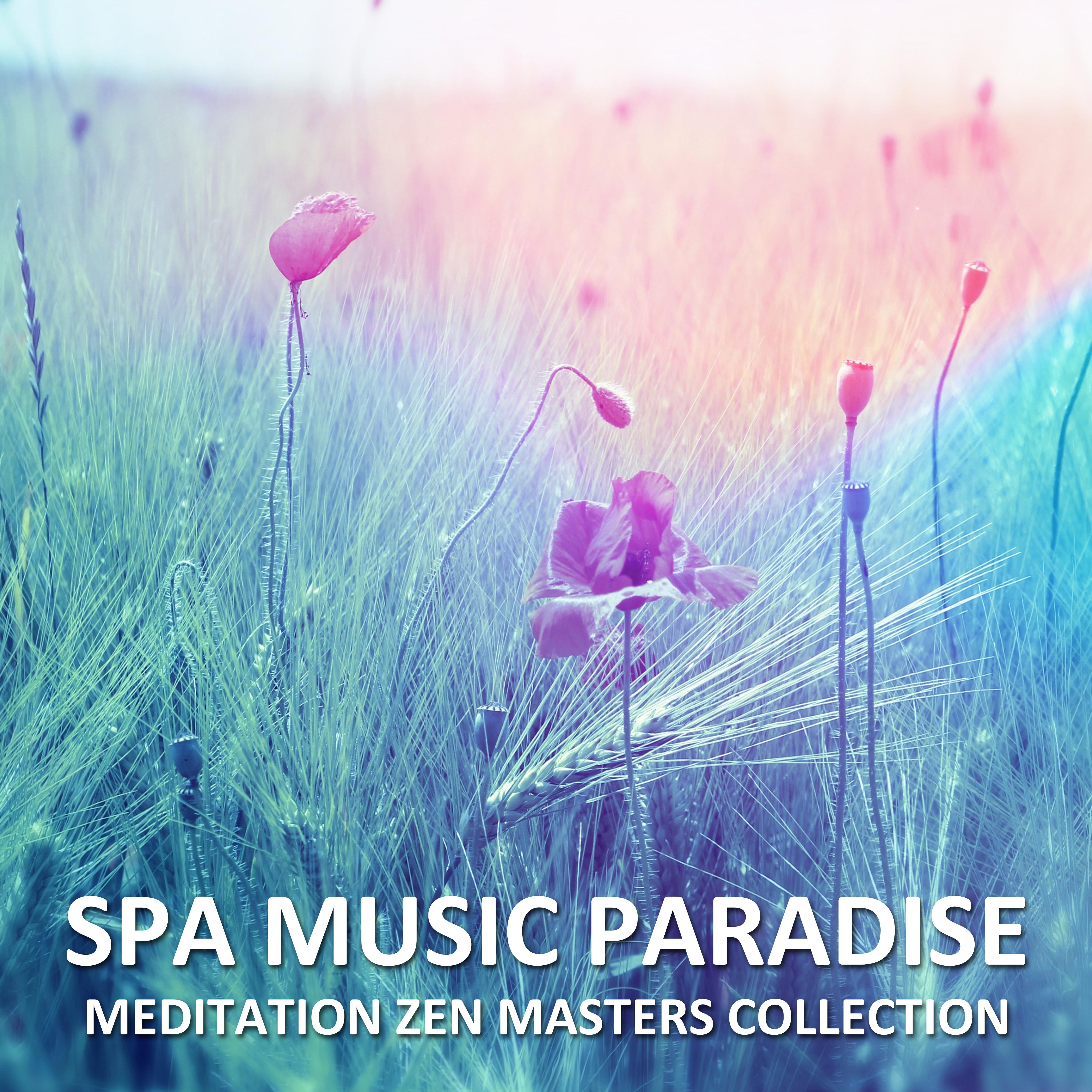 14 Meditaion Zen Masters Collection - Spa Music Paradise