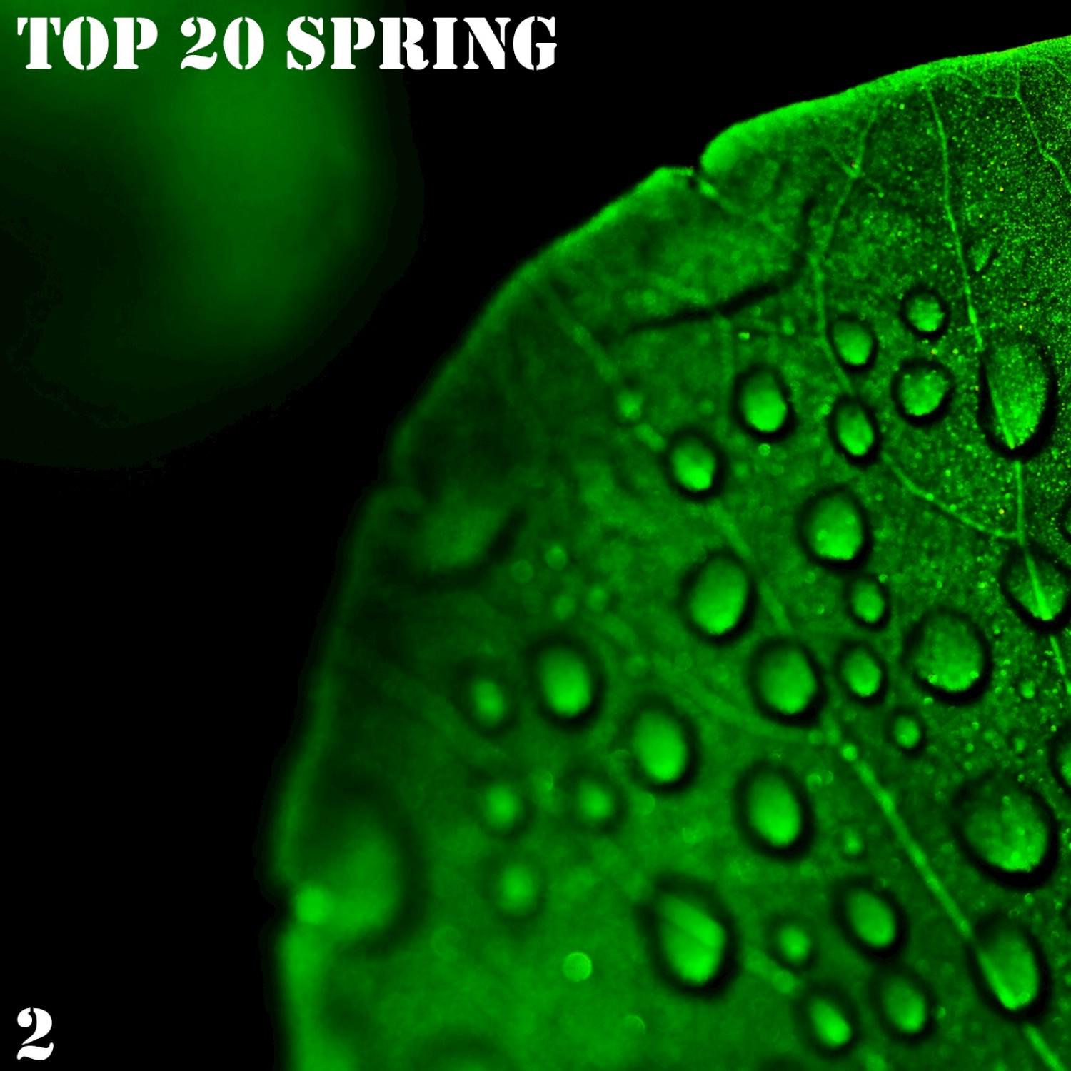 Top 20 Spring, Vol. 2