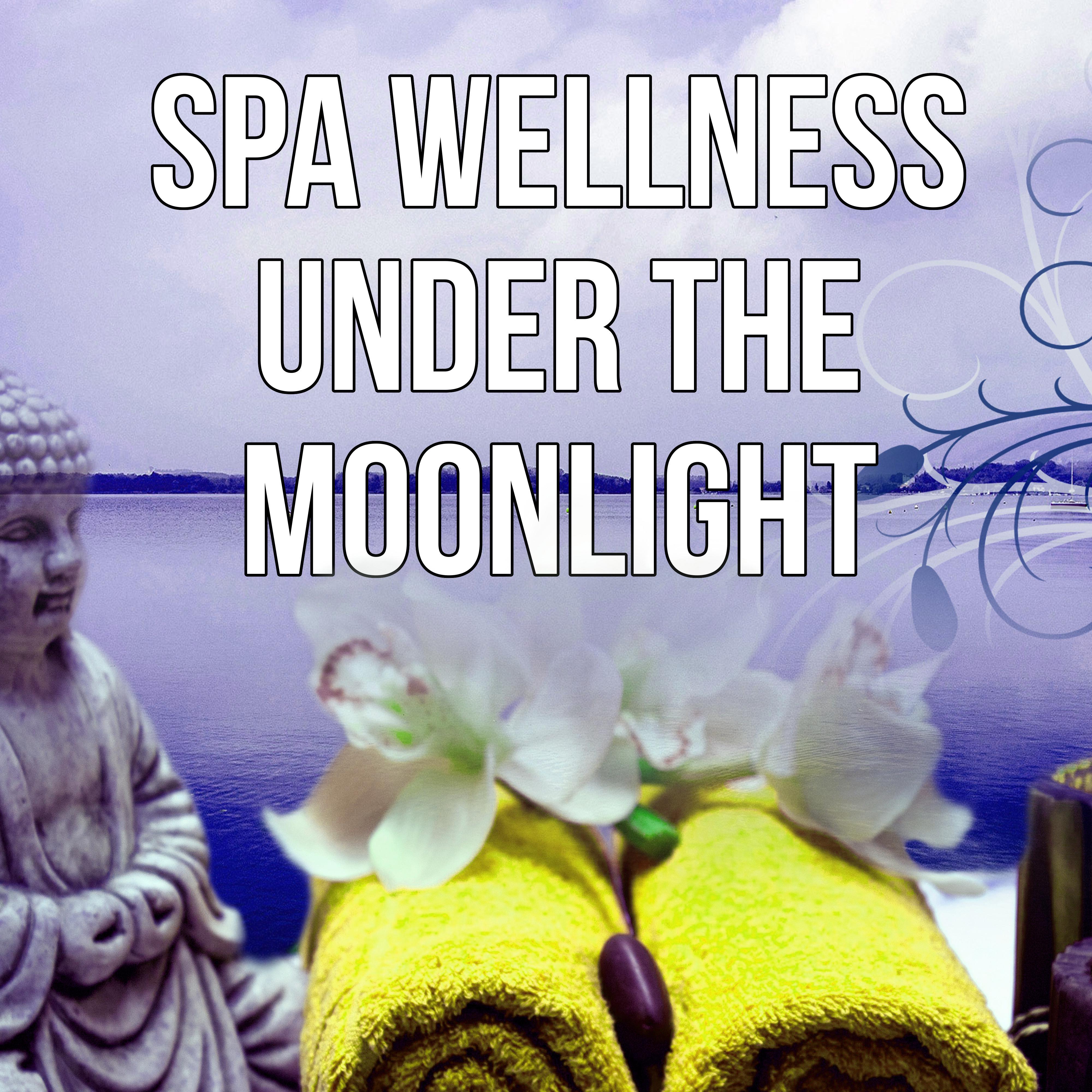 Spa Wellness Under the Moonlight - Background Music for Inner Peace, Well Being, Deep Meditation, Calming Music, Insomnia Help Sleeping Music, Dealing with Stress