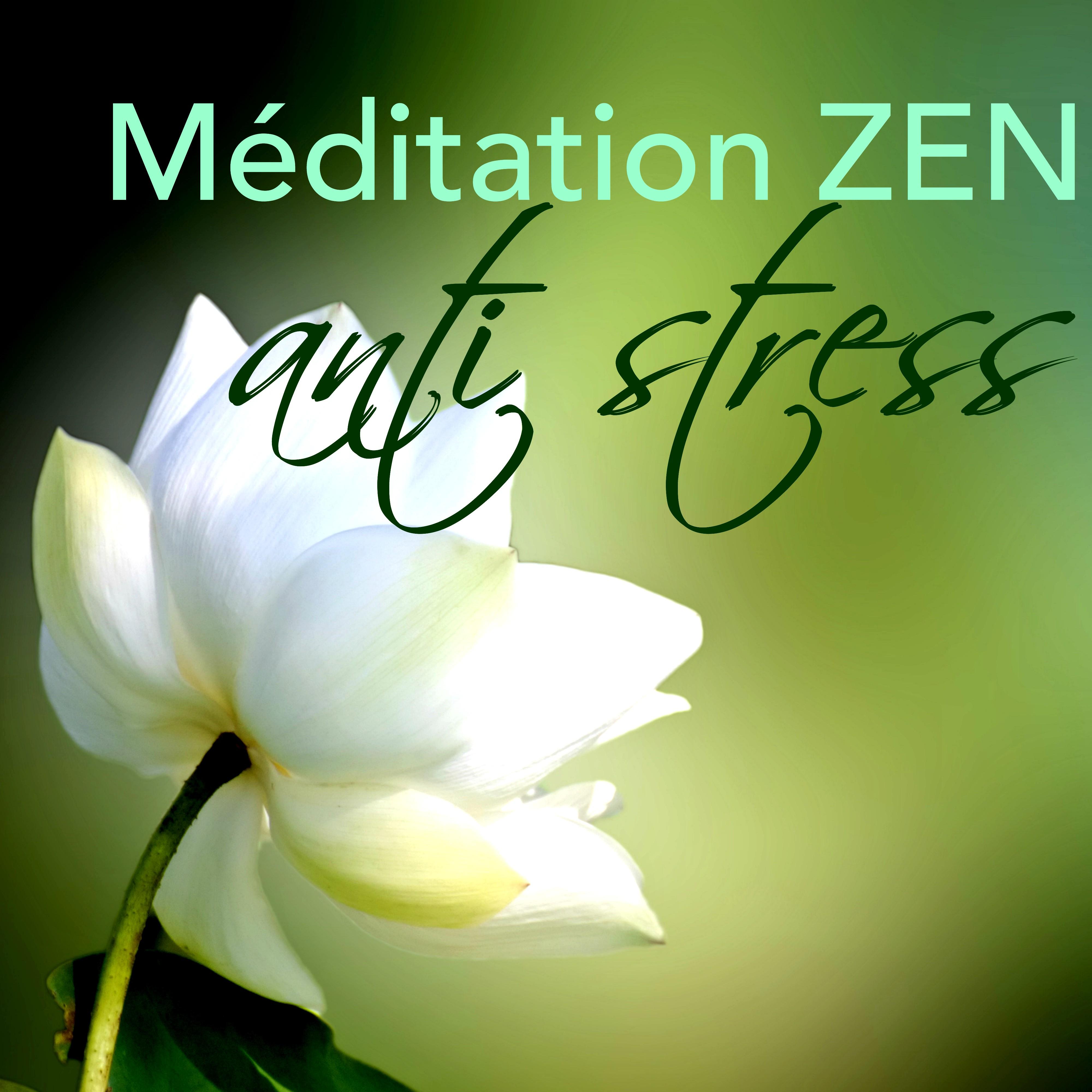 Méditation Zen Anti Stress: Musique pour Moments de Détente et Relaxation, Zen pour Massage, Spa, Reiki, Yoga, Sommeil Paisible, Méditation Anti Stress et Bien-être