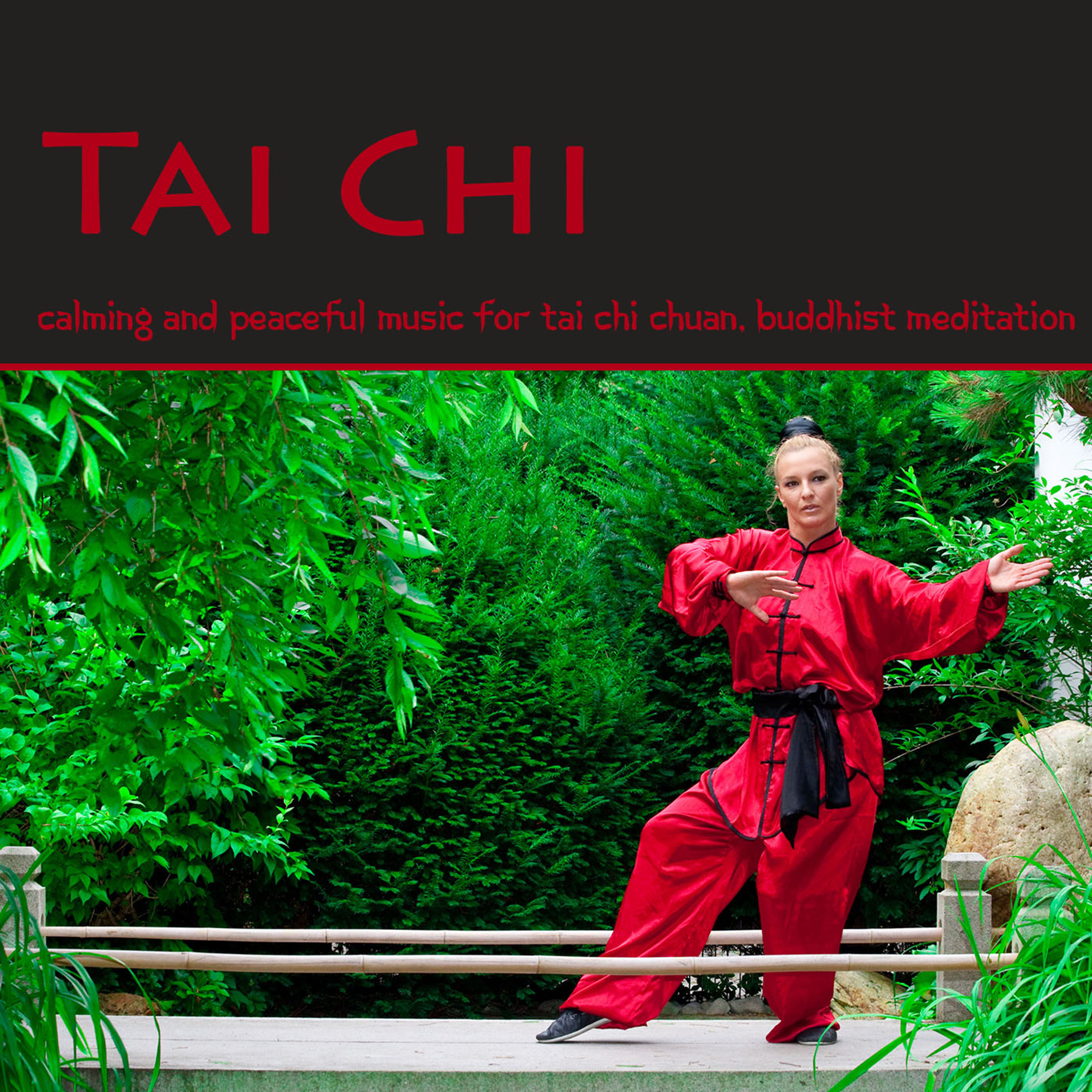 Tai Chi – Calming and Peaceful Music for Tai Chi Chuan, Buddhist Meditation, Qi Gong, Reiki & Raja Yoga