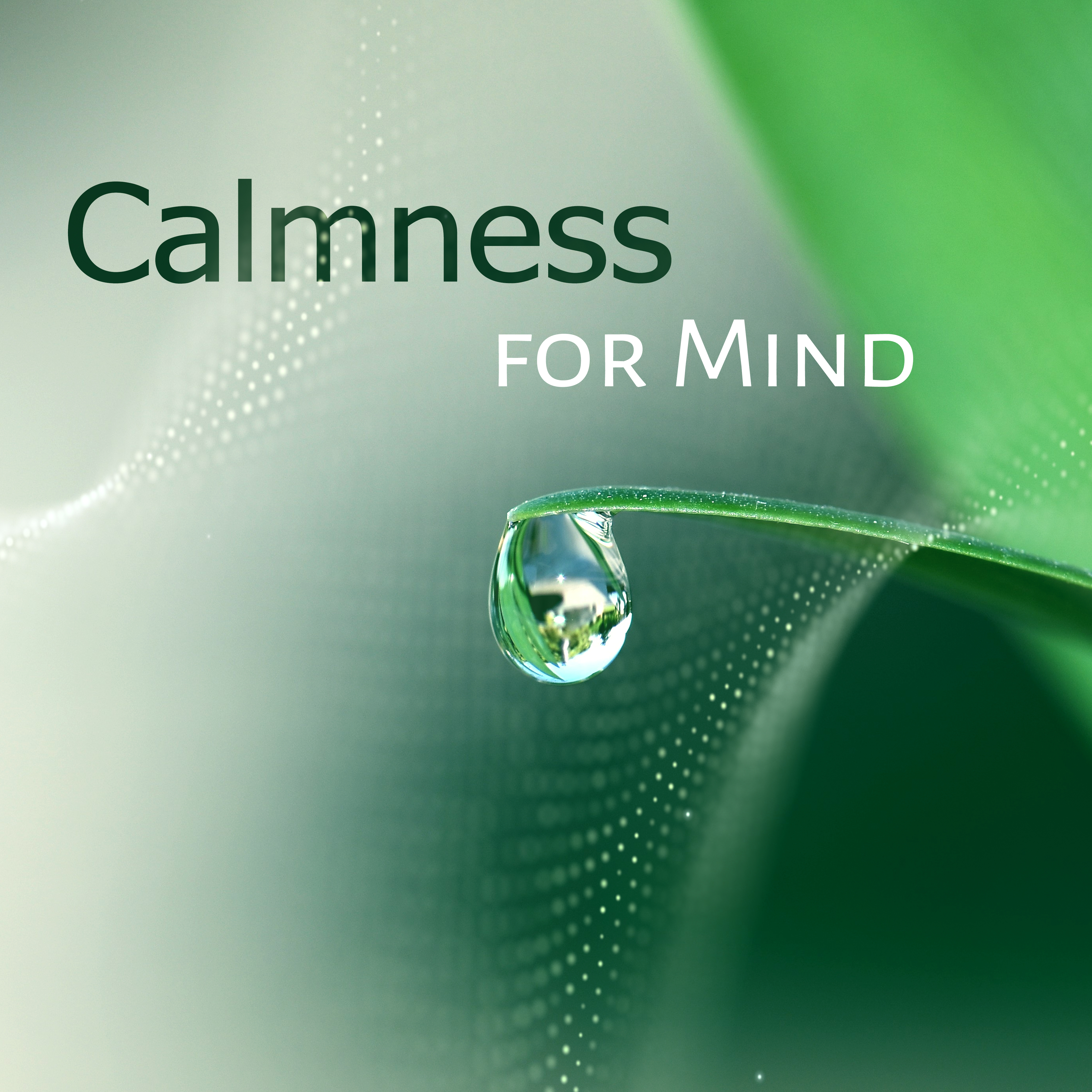 Calmness for Mind – Inner Harmony, Soft Nature Sounds, Relaxing Music, Peaceful New Age, Water Relaxation