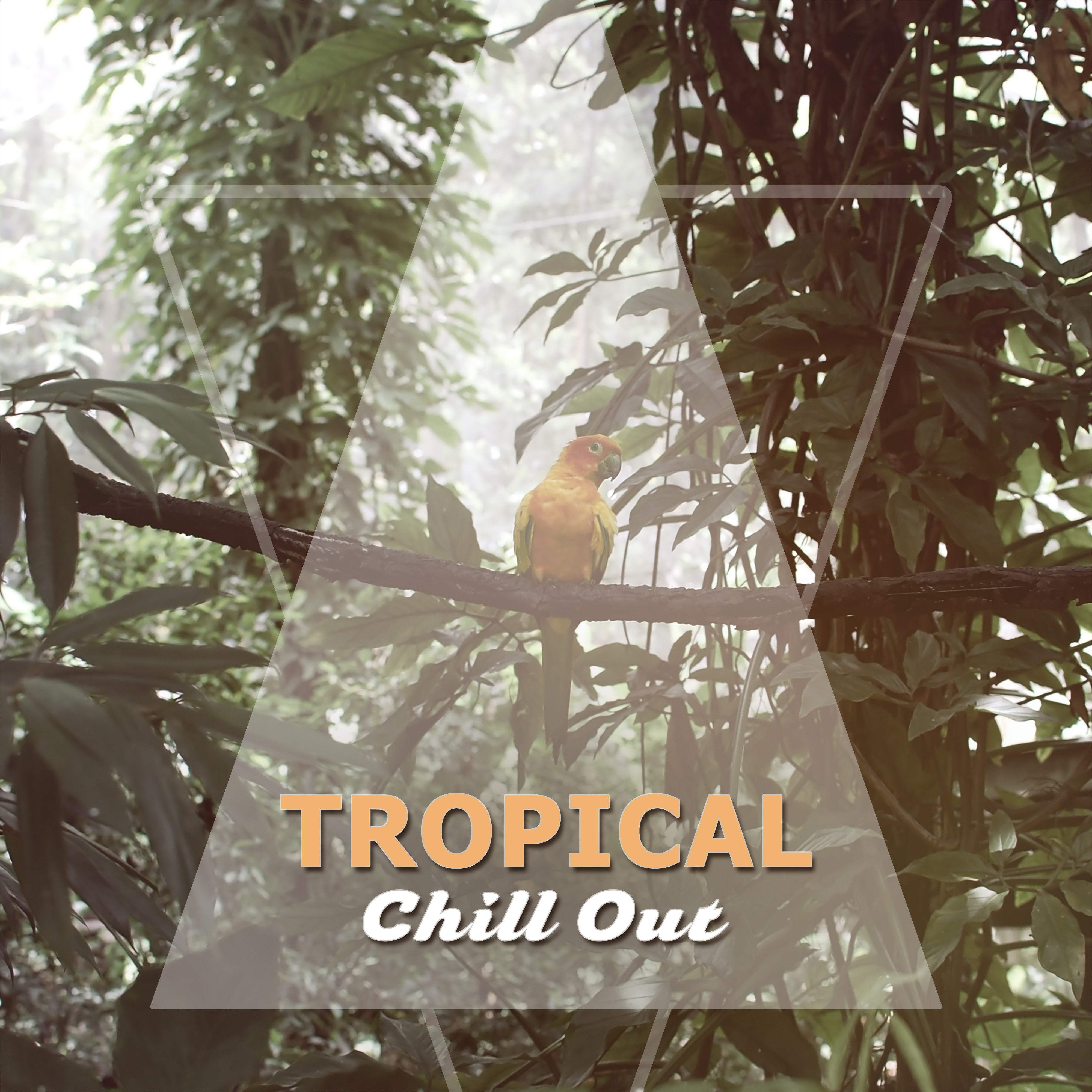 Tropical Chill Out – Music to Rest, Journey with Chill Out Music, Sounds to Calm Down, Stress Relief, Summer Vibes
